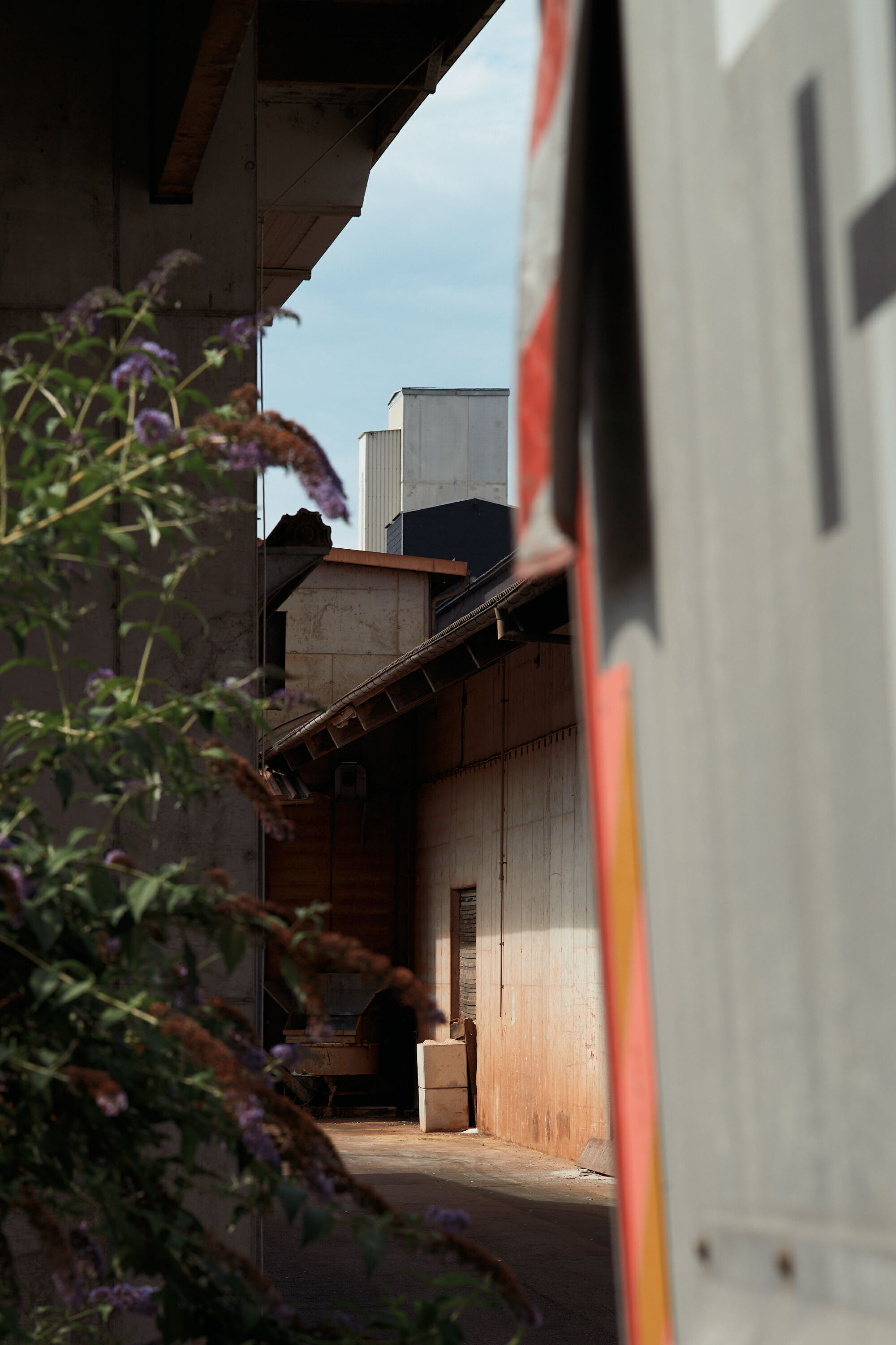 Leica Camera AG LEICA M11 P L1003600