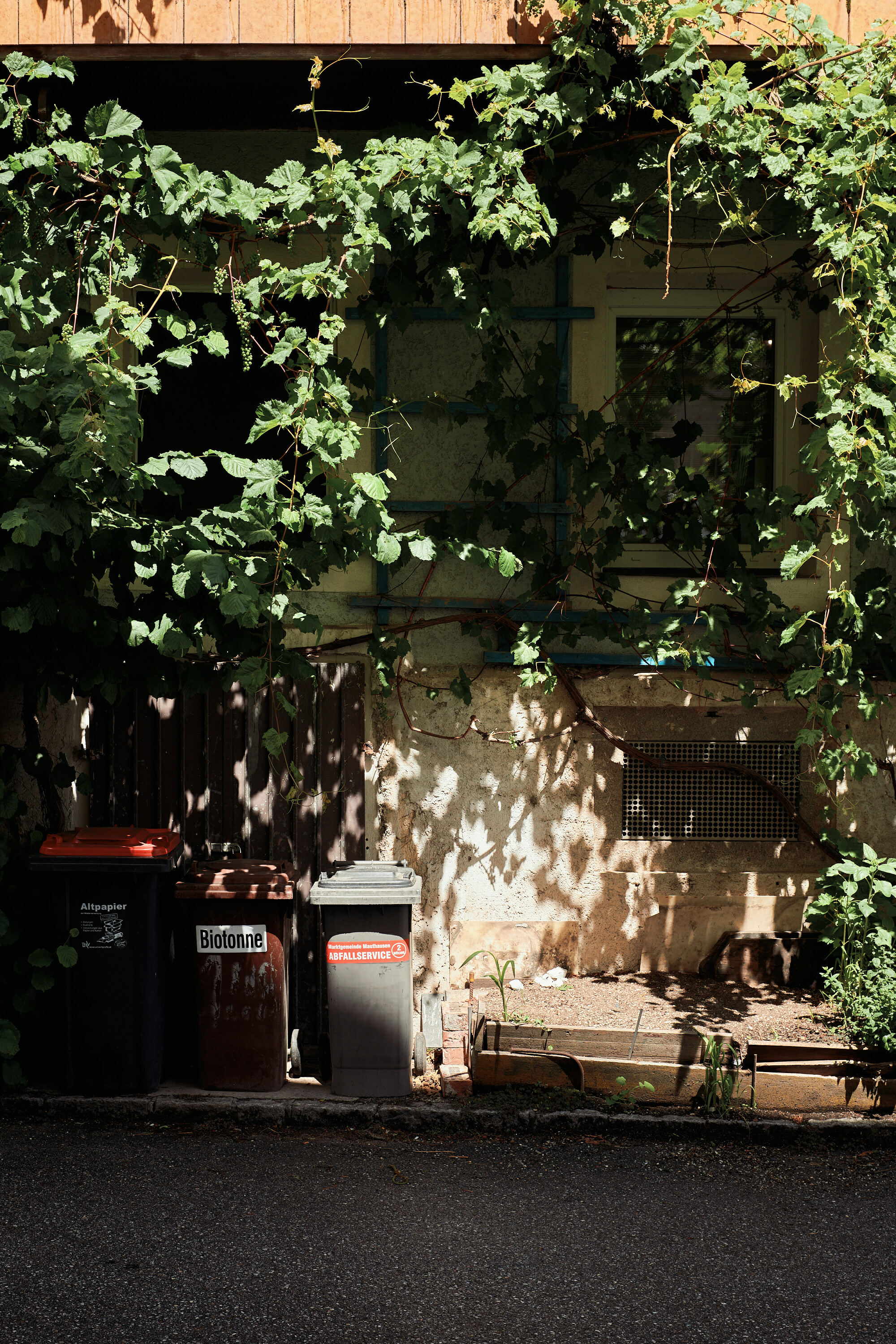 Leica Camera AG LEICA M11 D L1009819