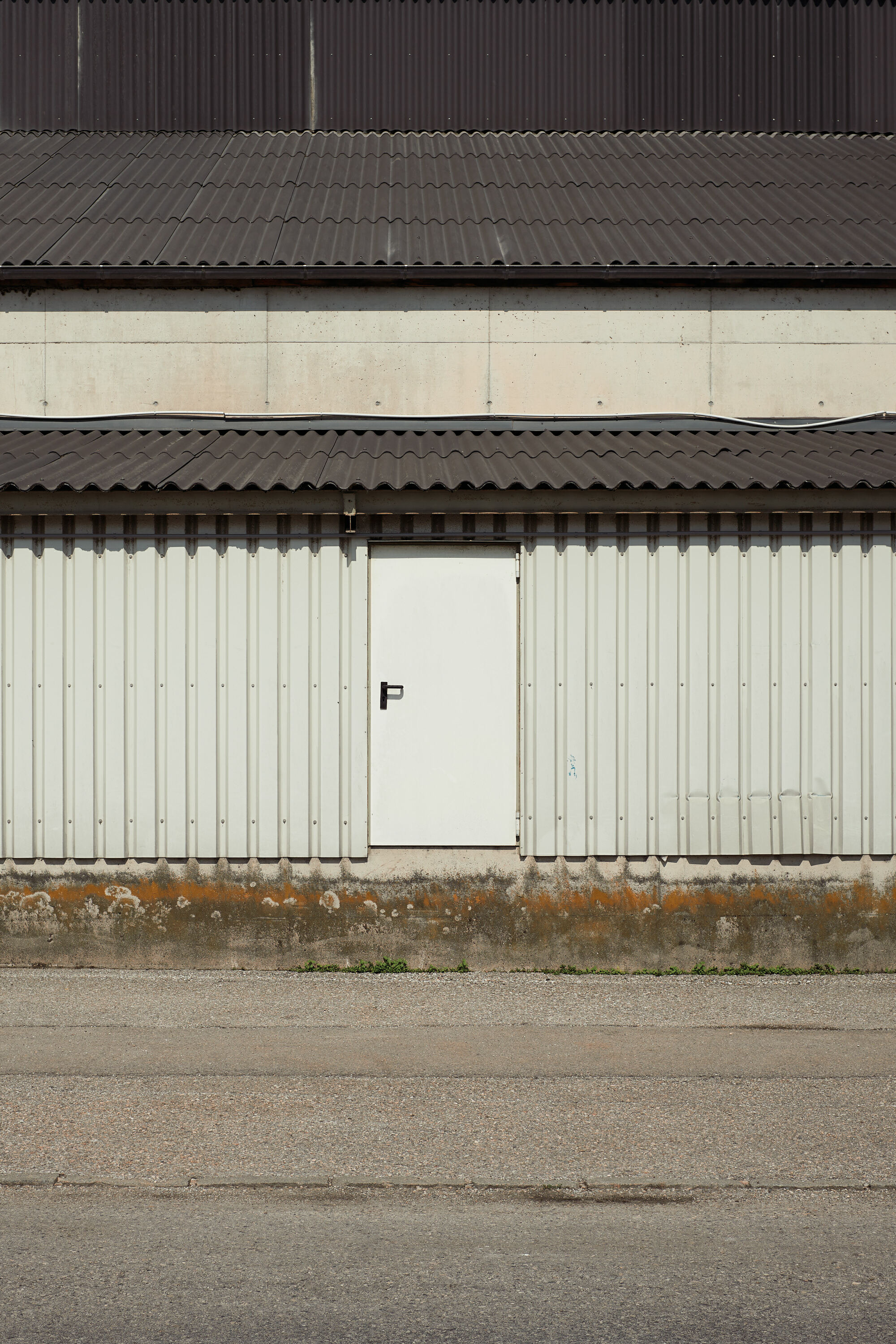 Leica Camera AG LEICA M11 D L1009871