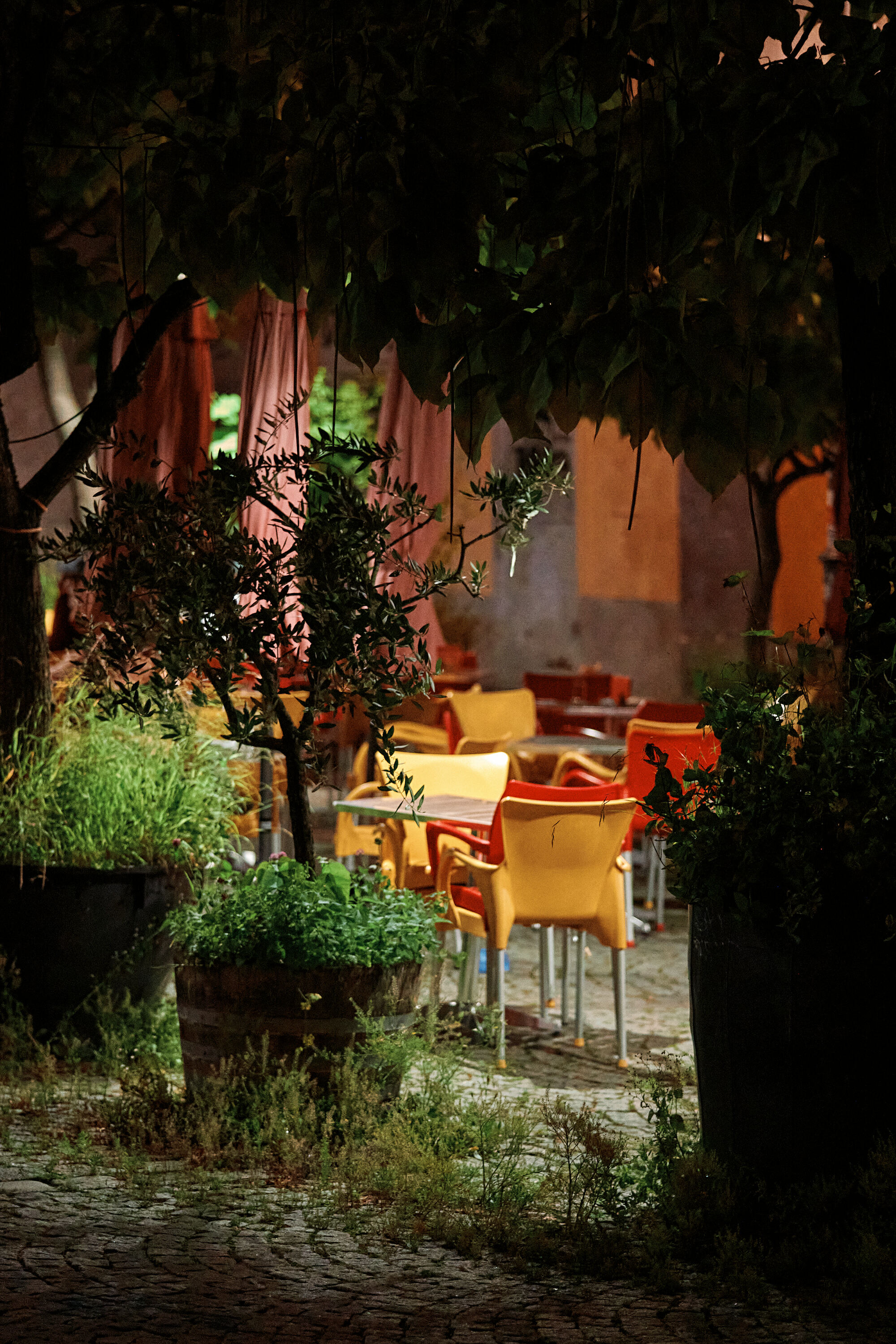 Leica Camera AG LEICA M11 P L1003637