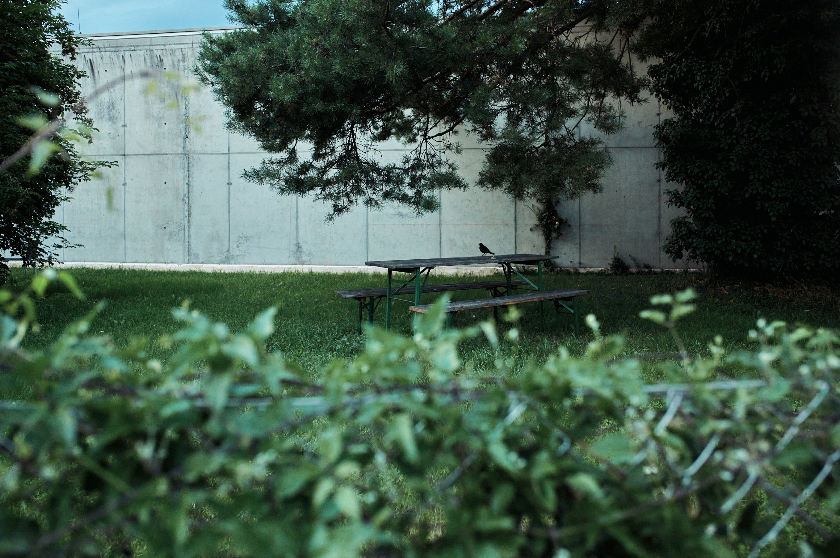 Leica Camera AG LEICA M11 D L1009950