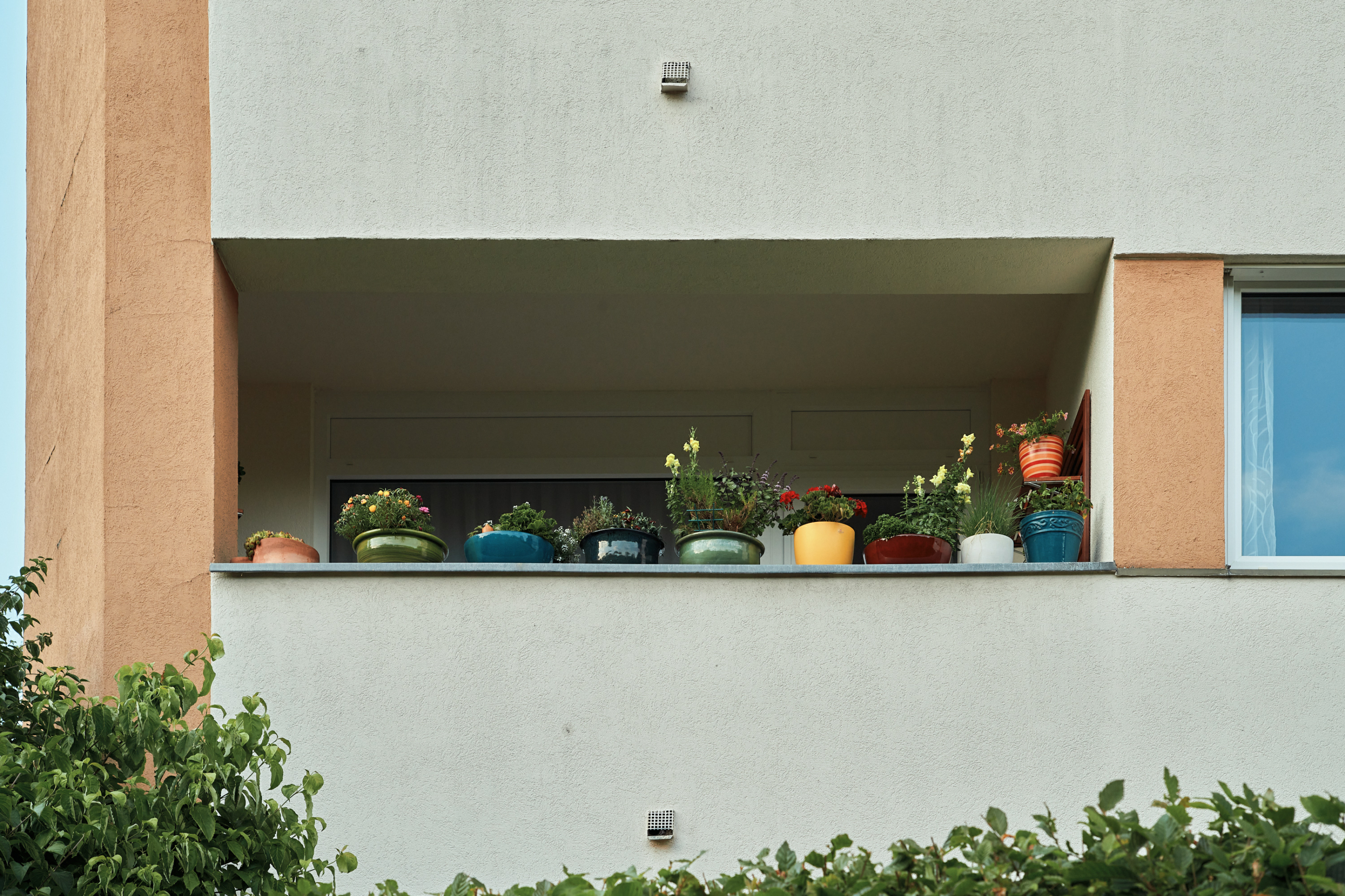 Leica Camera AG LEICA M11 D L1000008