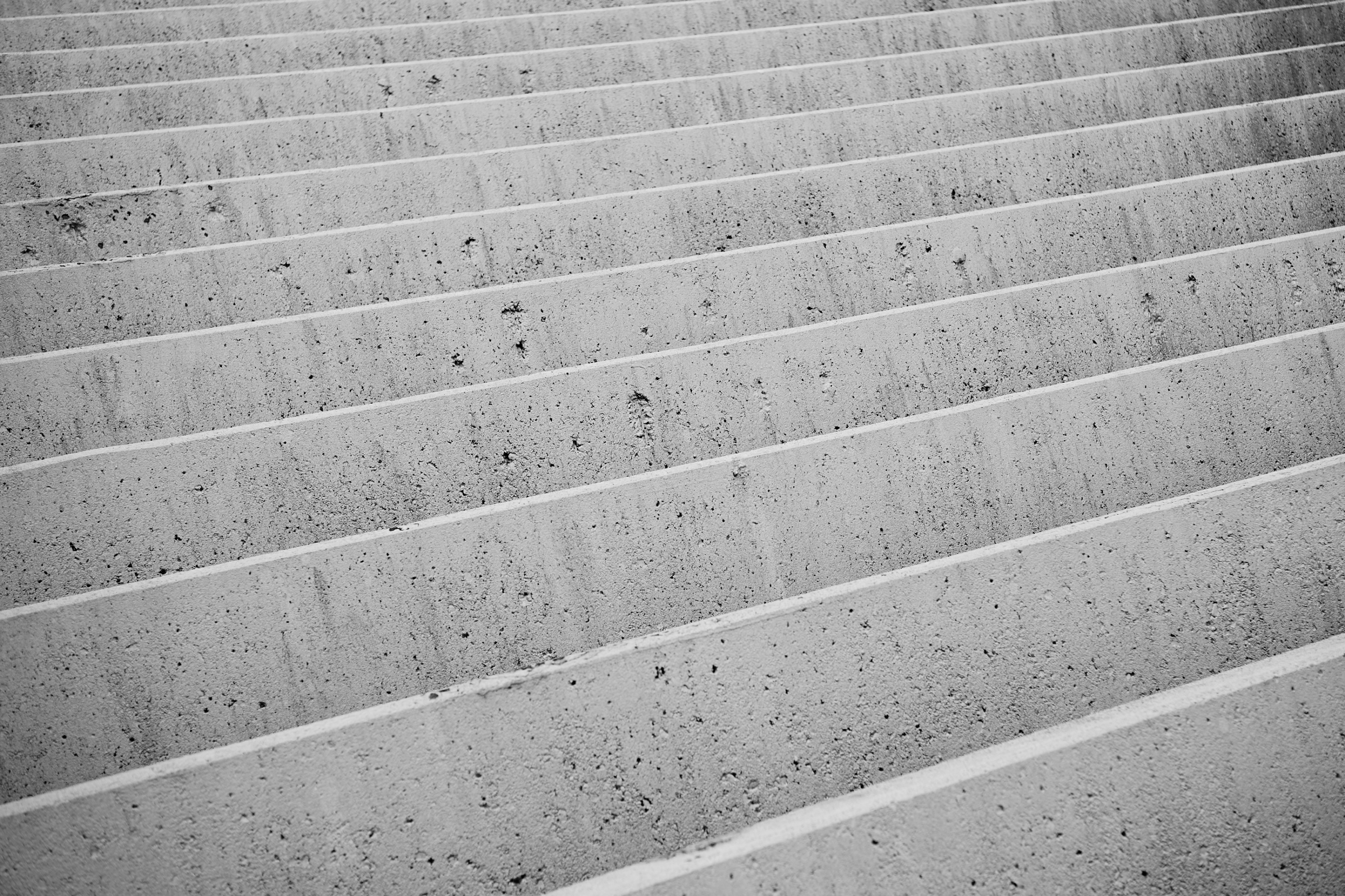 Leica Camera AG LEICA M11 D L1000040