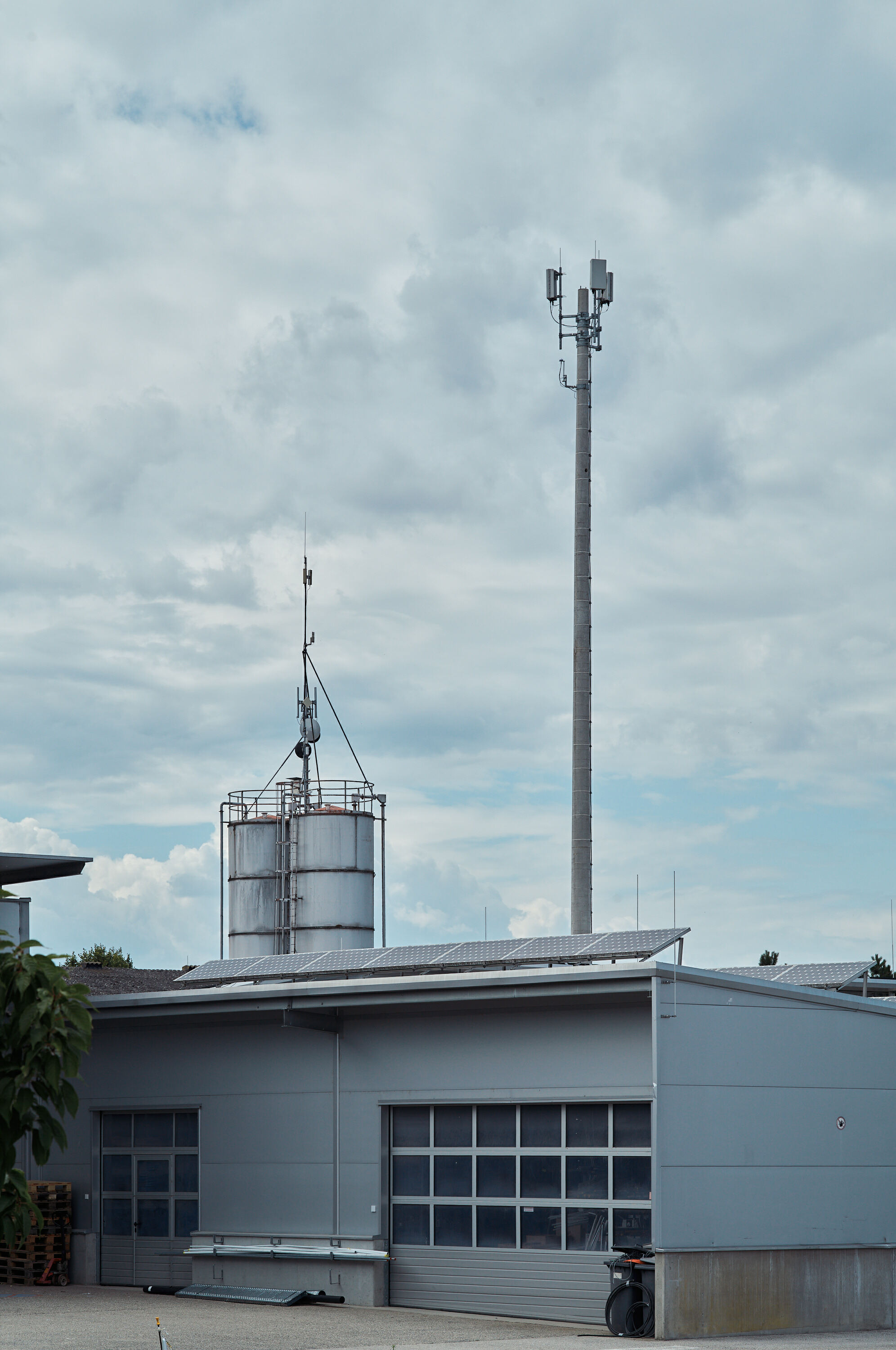 Leica Camera AG LEICA M11 P L1003653