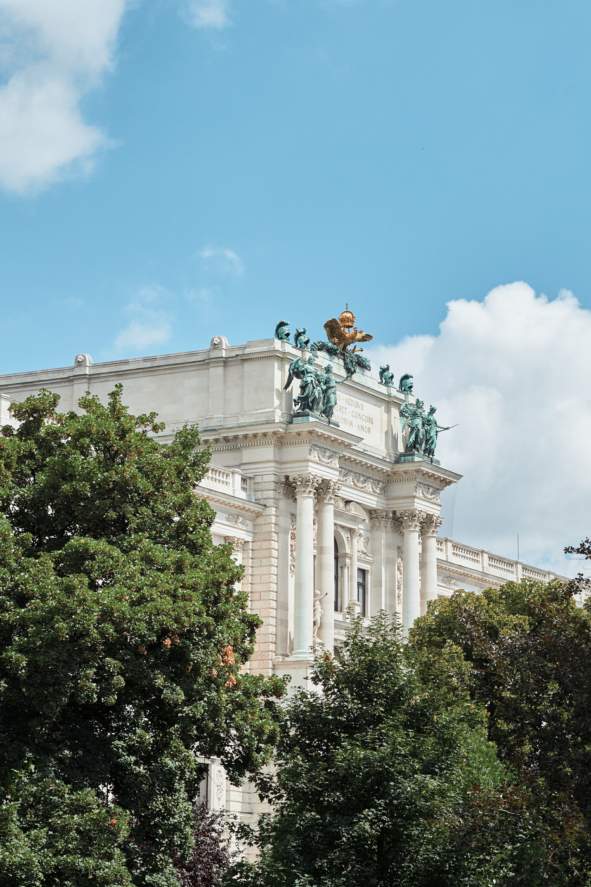 Leica Camera AG LEICA M11 P L1003732