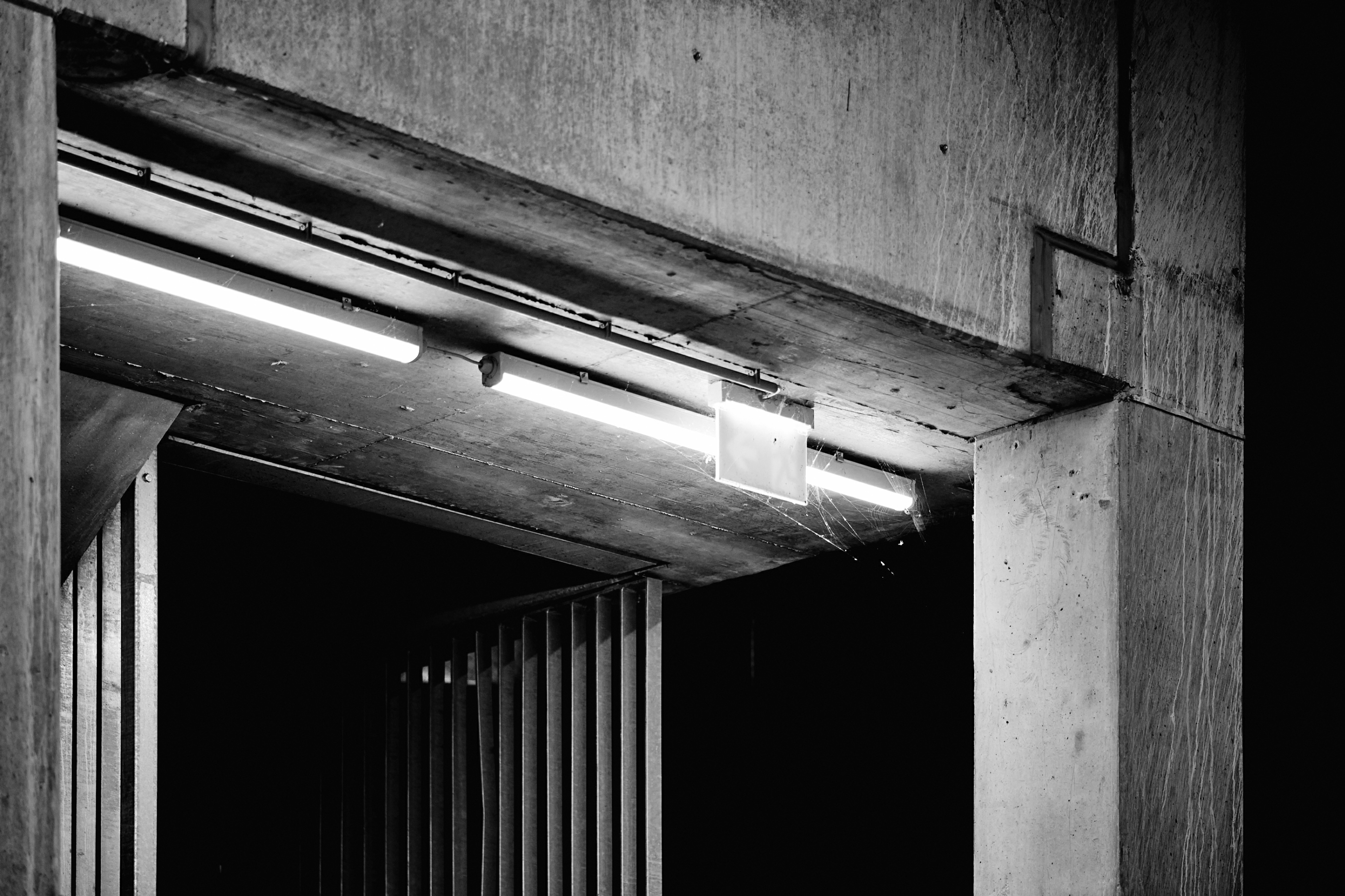 Leica Camera AG LEICA M11 P L1003756