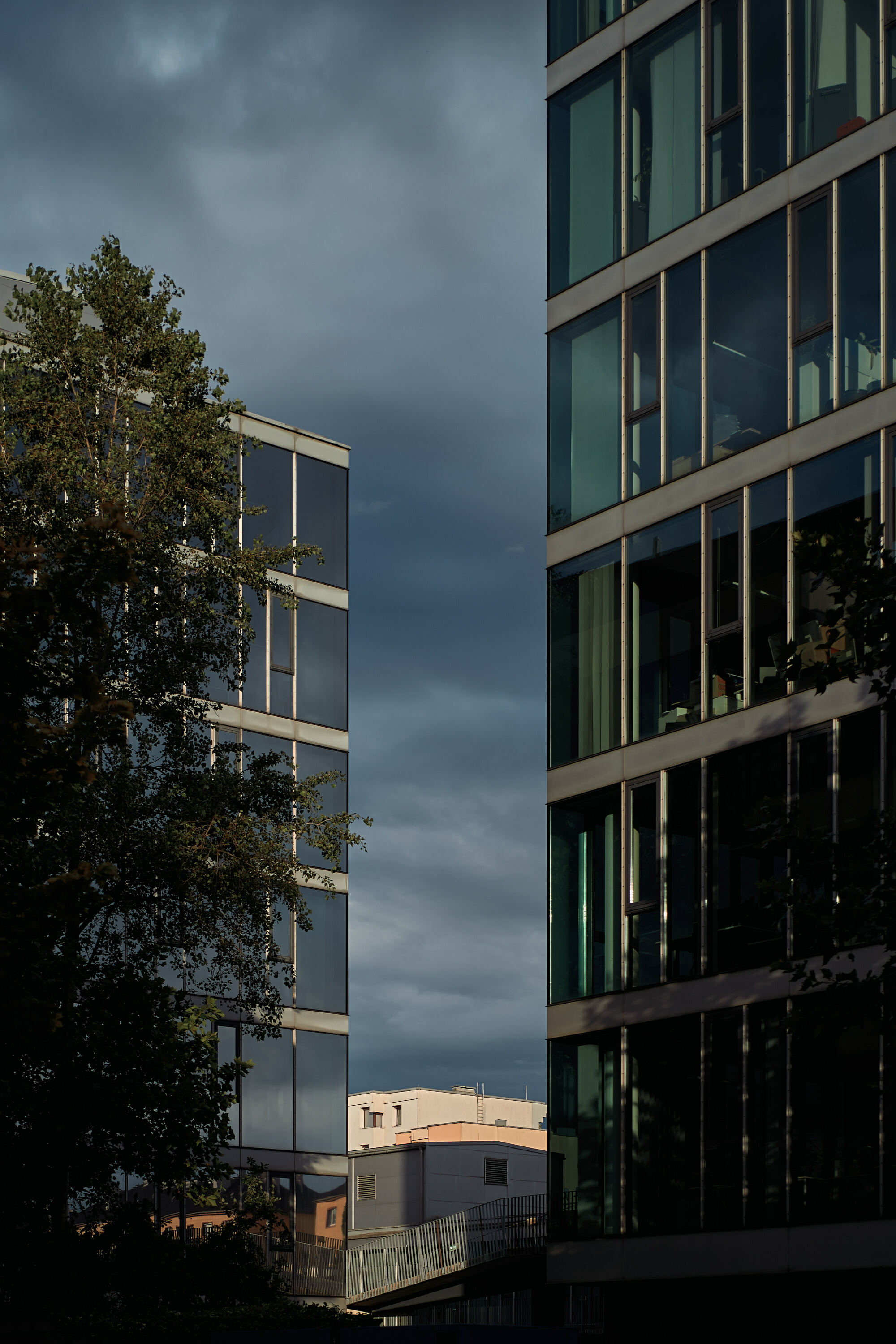 Leica Camera AG LEICA M11 P L1003793