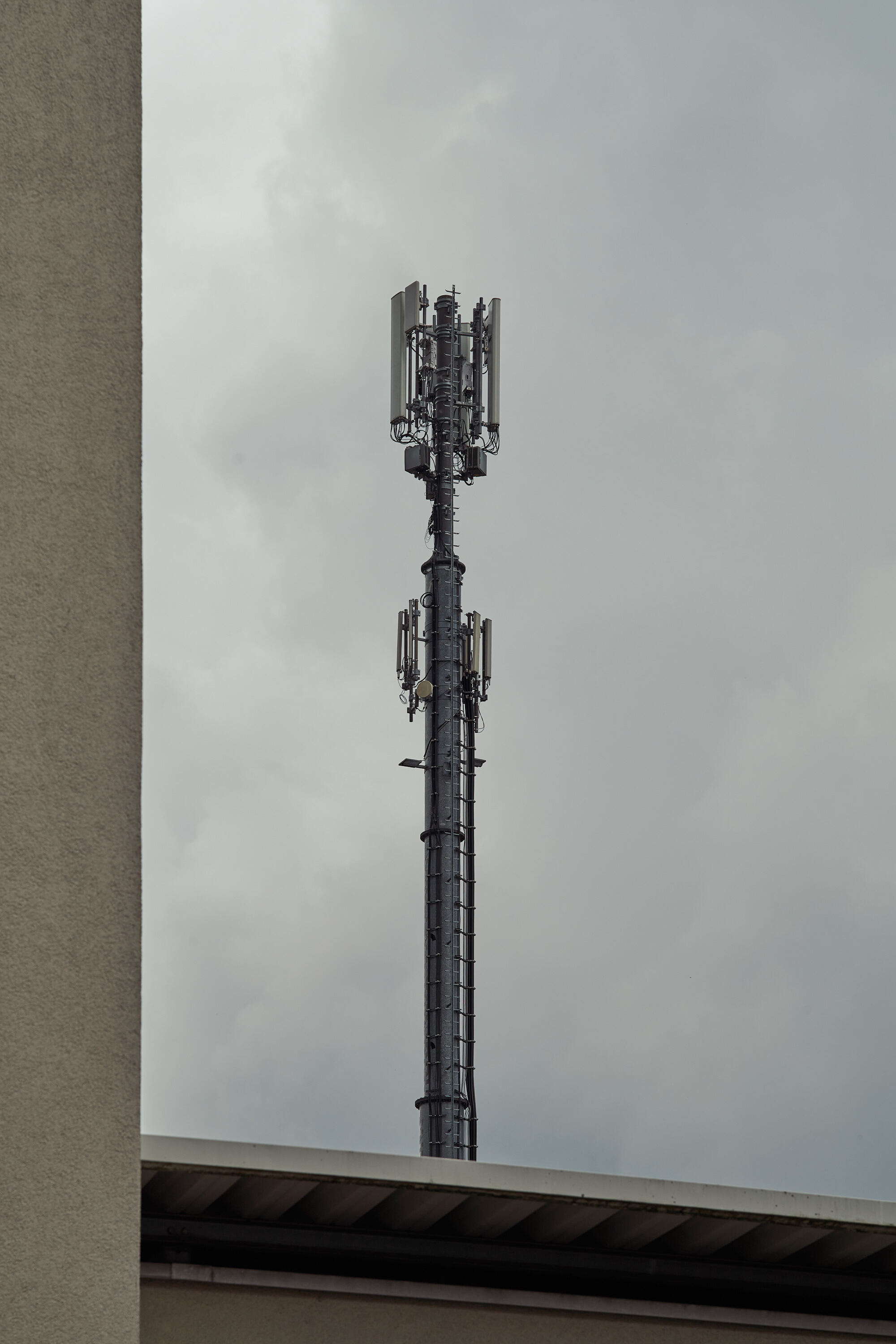 Leica Camera AG LEICA M11 P L1003849