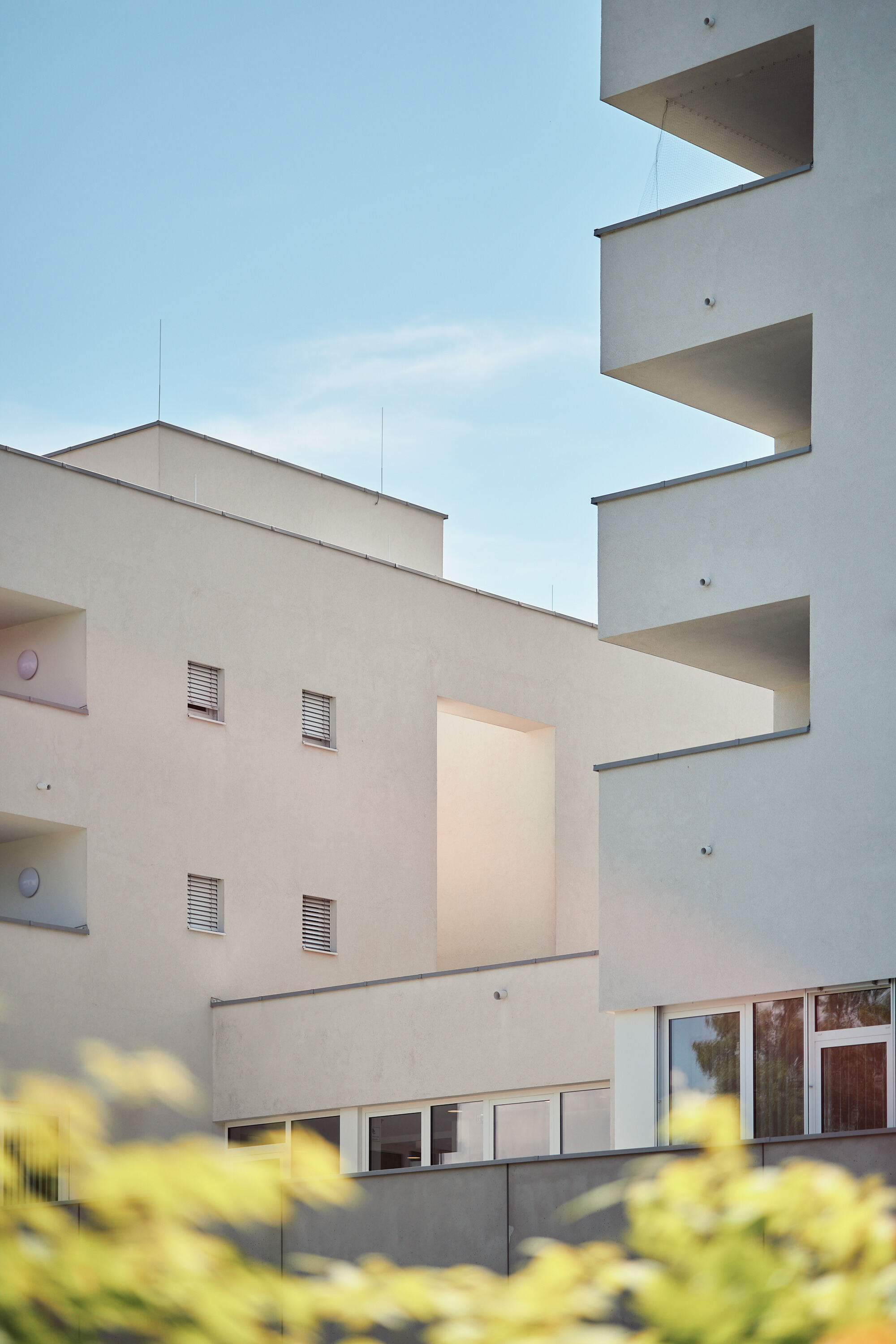 Leica Camera AG LEICA M11 P L1003921