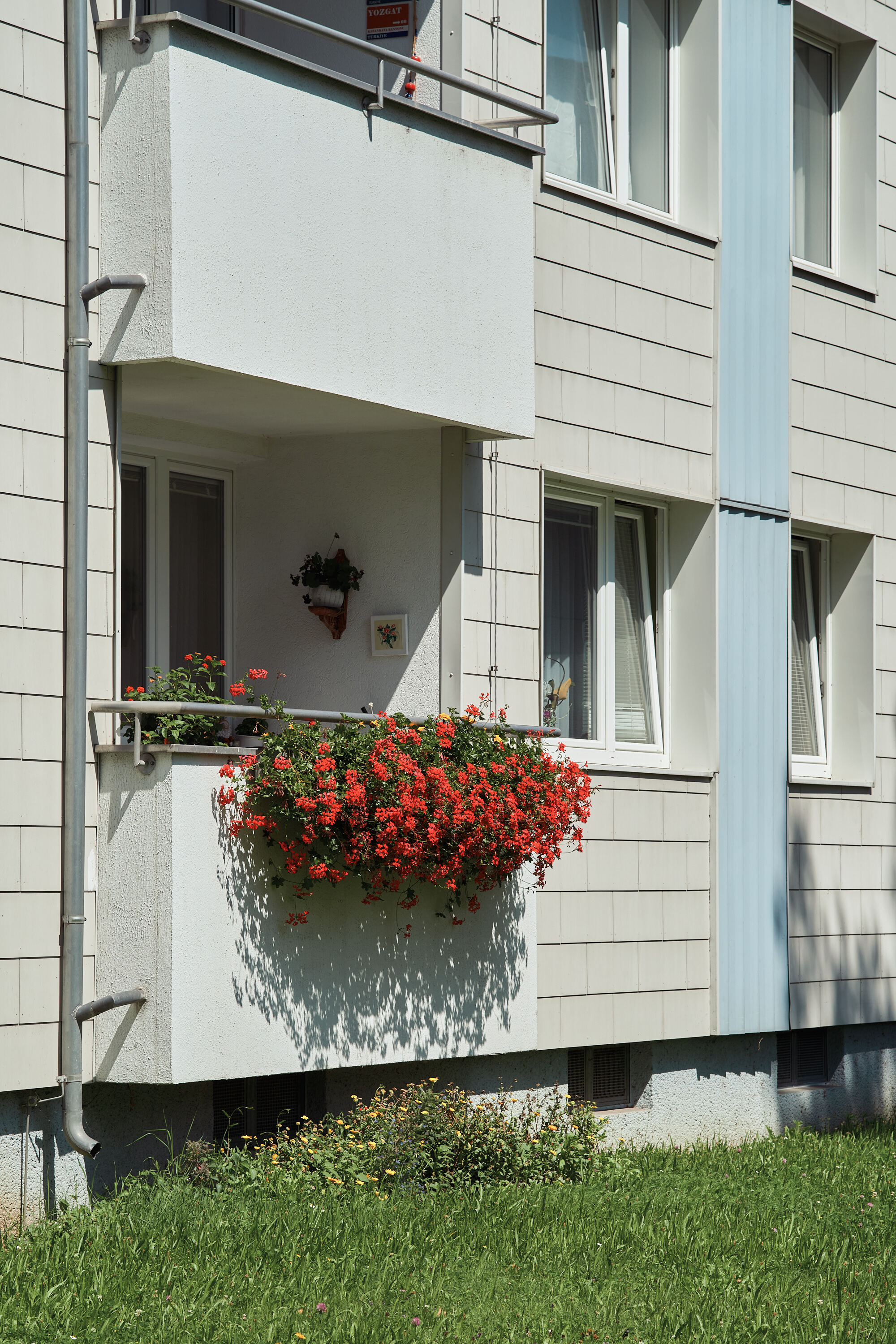 Leica Camera AG LEICA M11 P L1003923