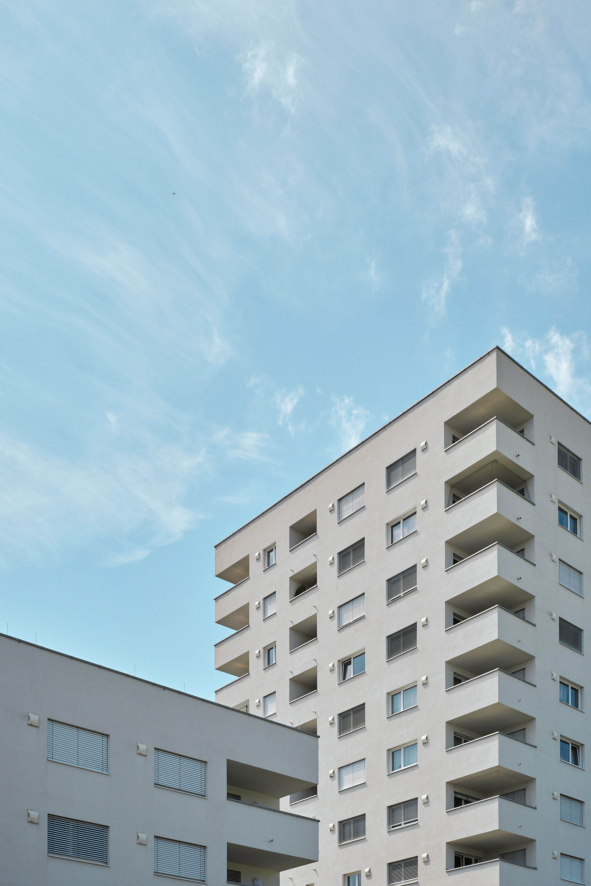 Leica Camera AG LEICA M11 D L1000331