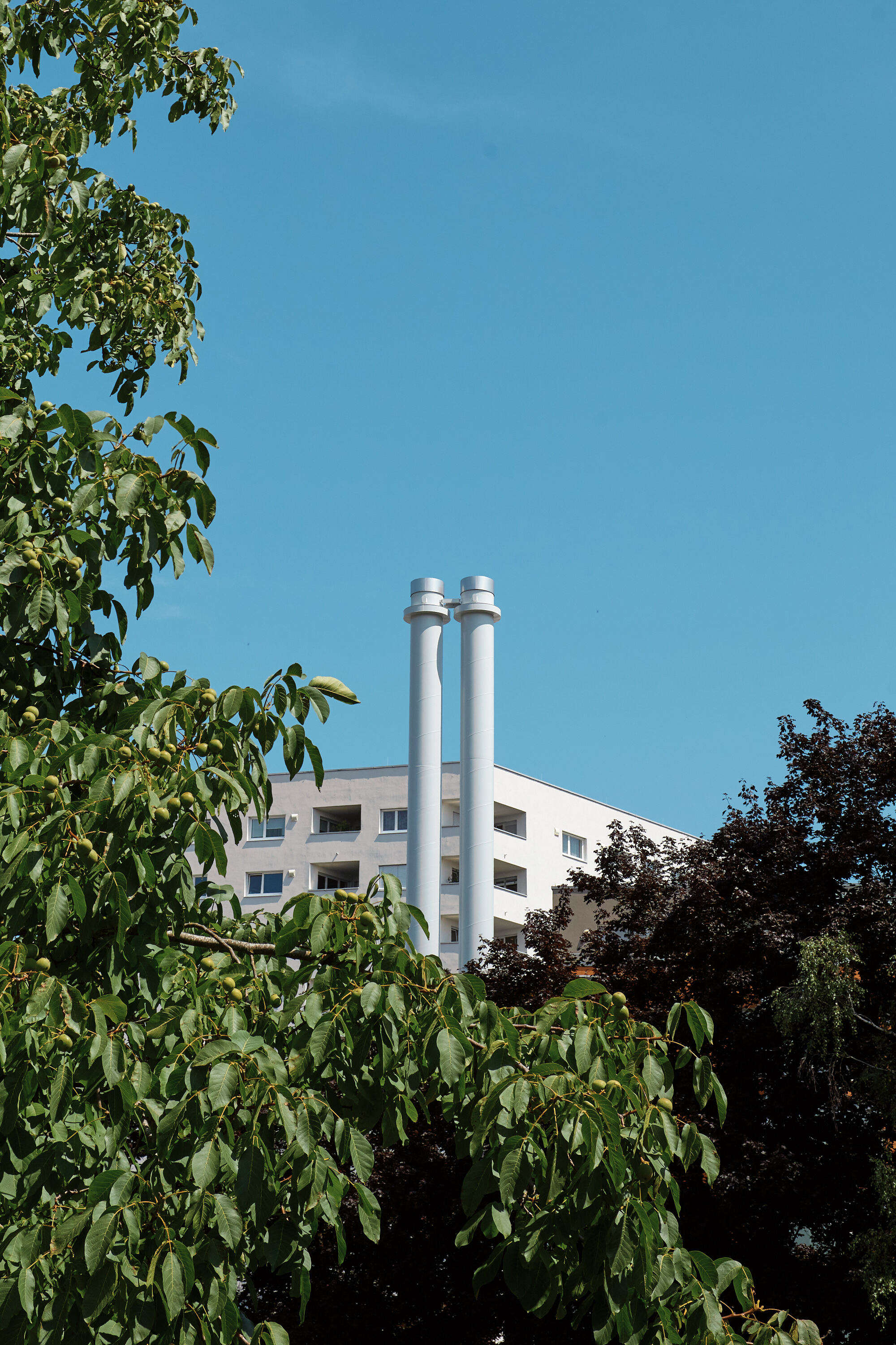 Leica Camera AG LEICA M11 D L1000338