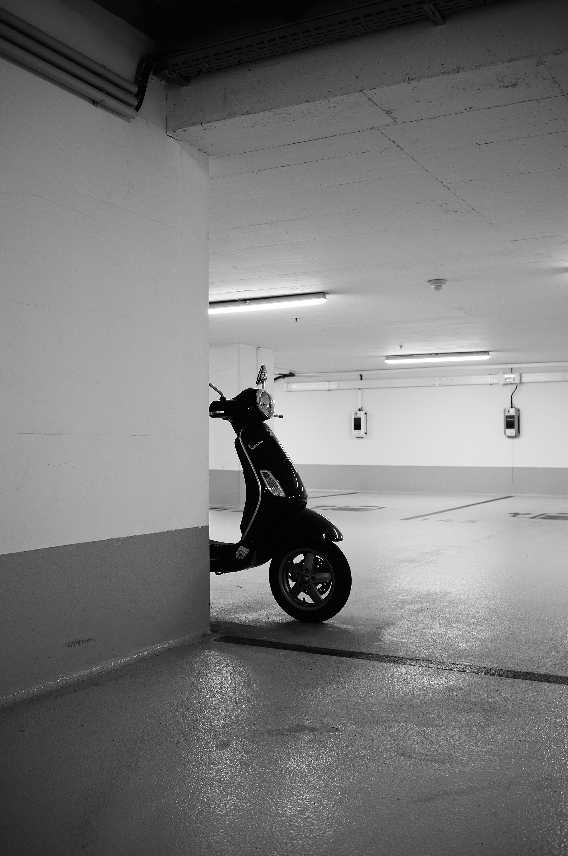 Leica Camera AG LEICA M11 D L1000342