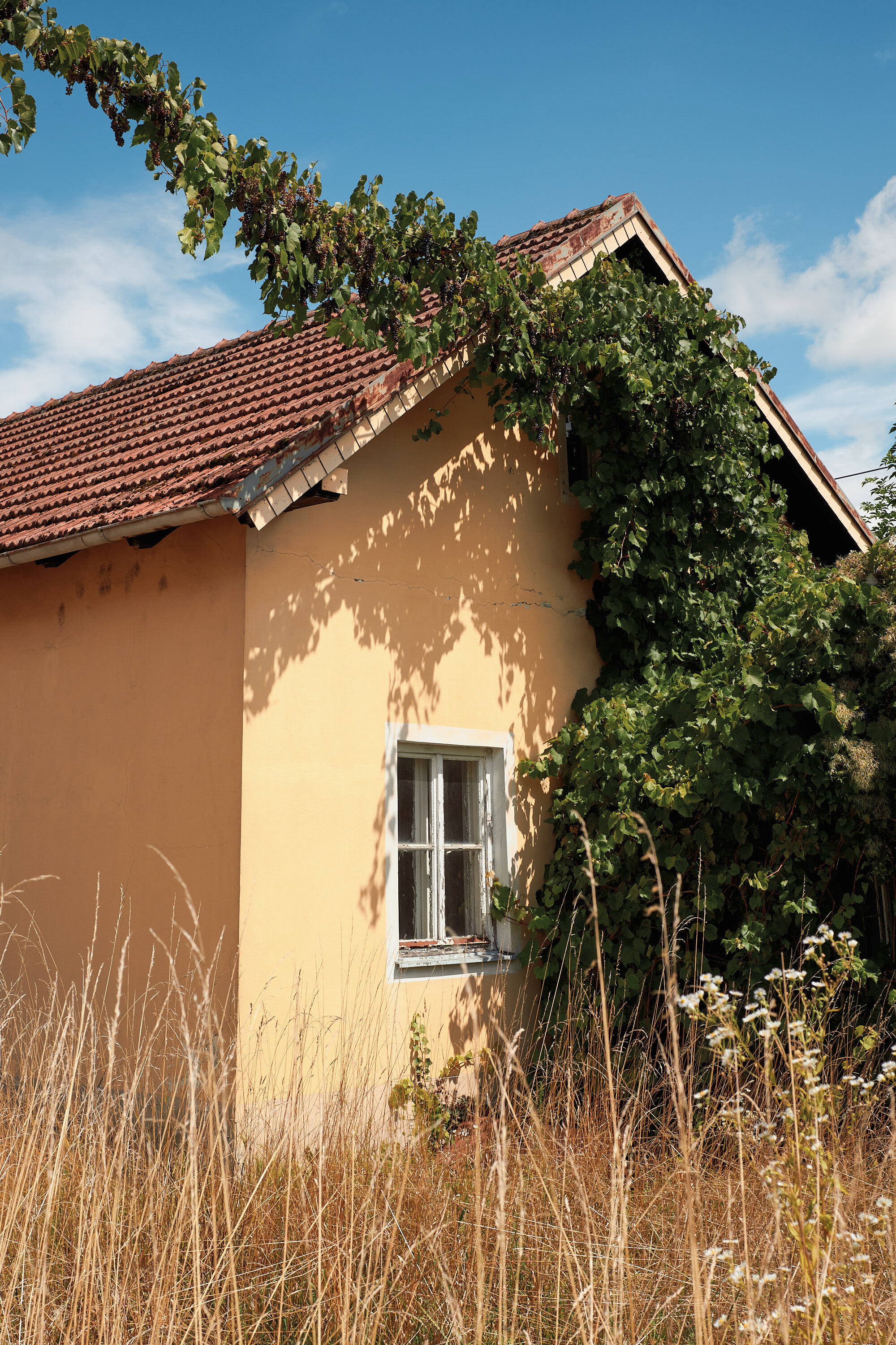 Leica Camera AG LEICA M11 D L1000361