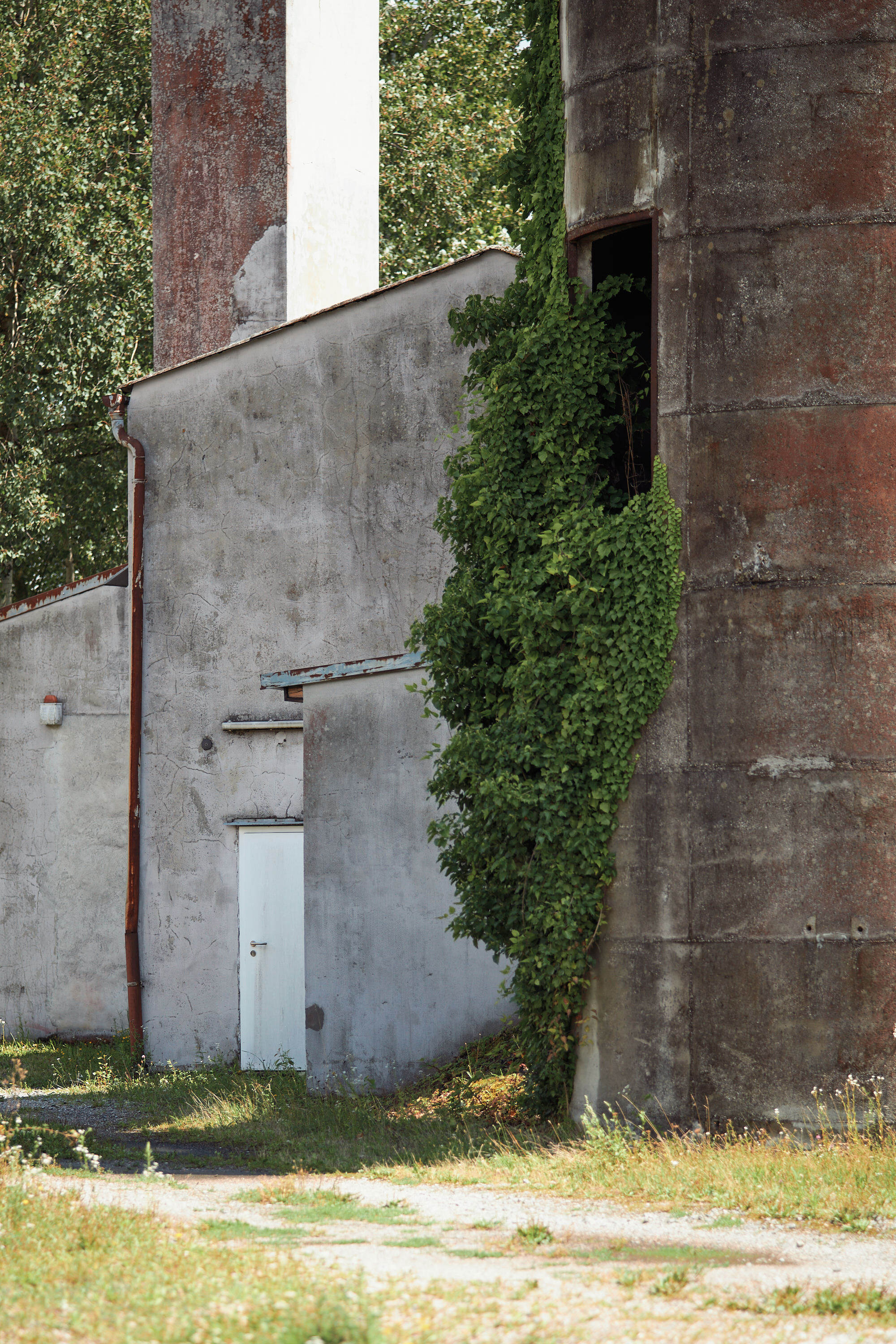 Leica Camera AG LEICA M11 P L1003994