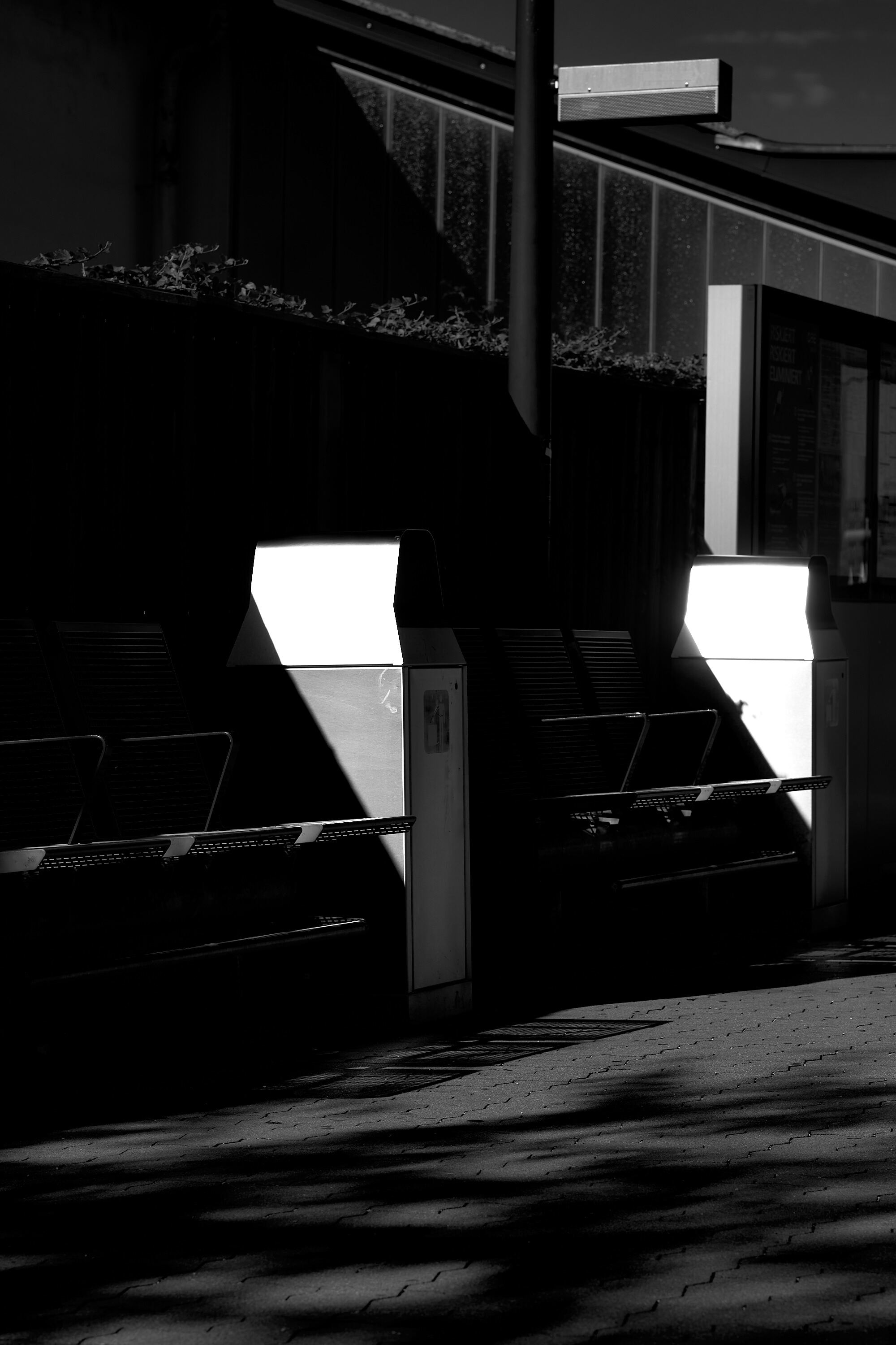 Leica Camera AG LEICA M11 P L1004077