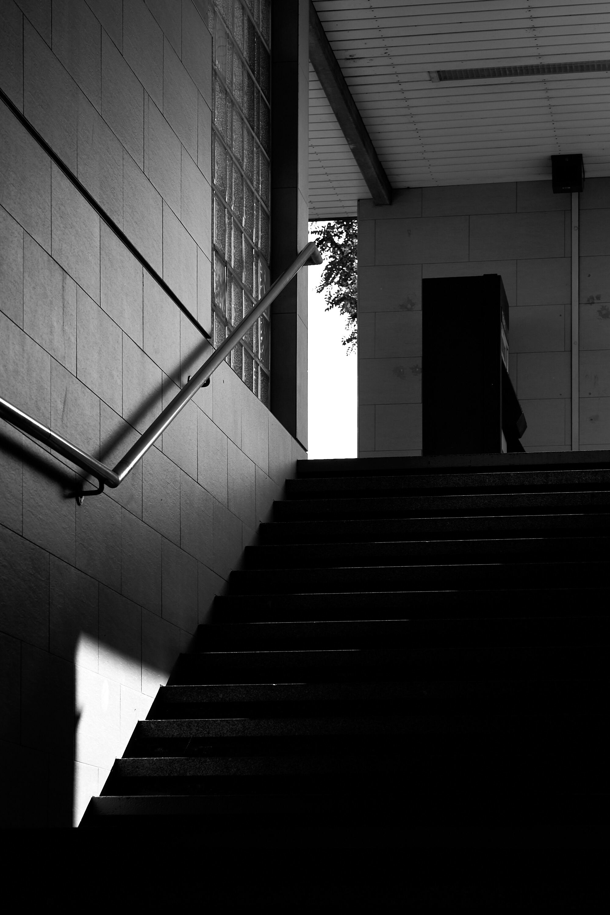 Leica Camera AG LEICA M11 P L1004084