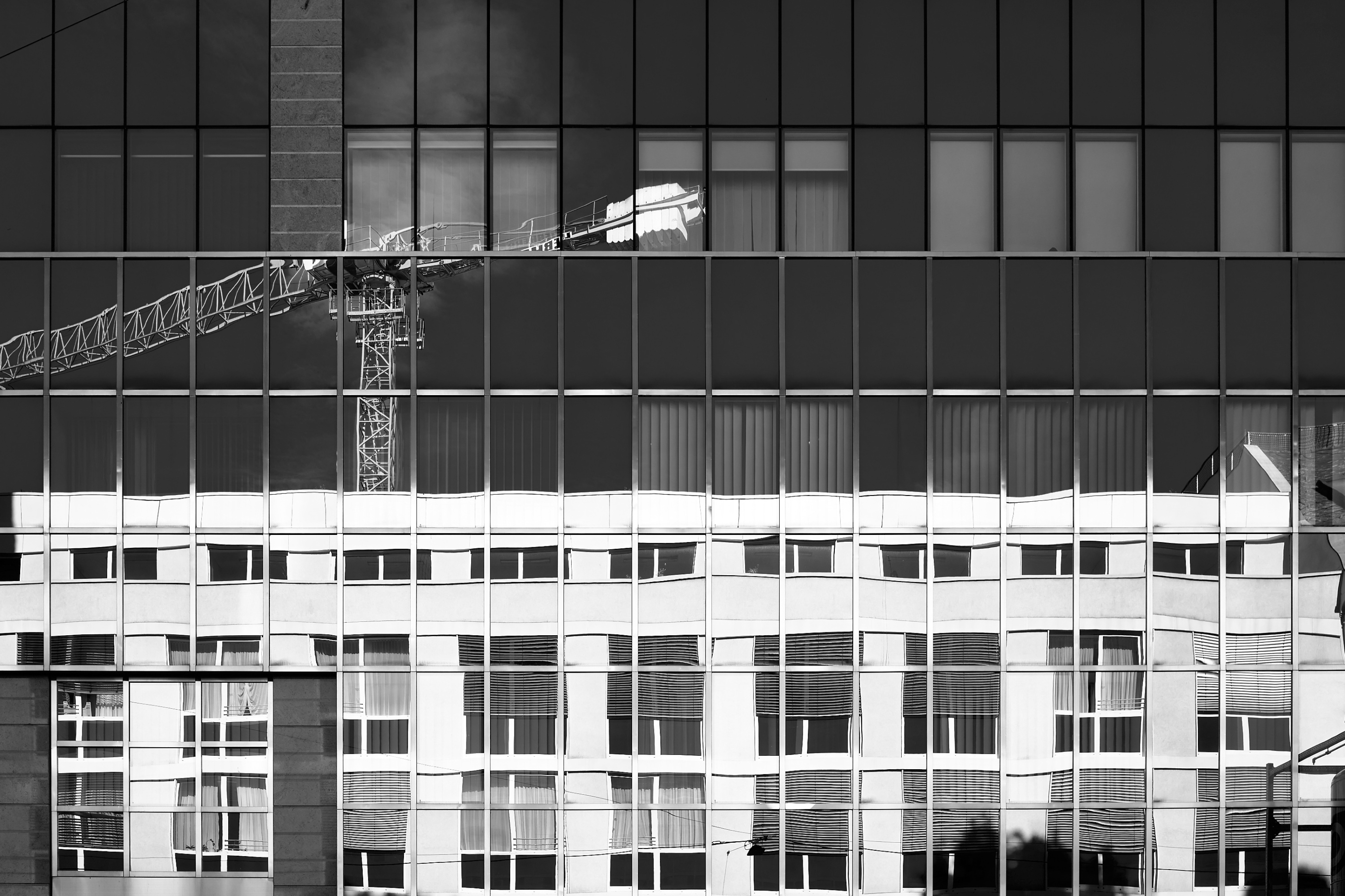 Leica Camera AG LEICA M11 D L1000377