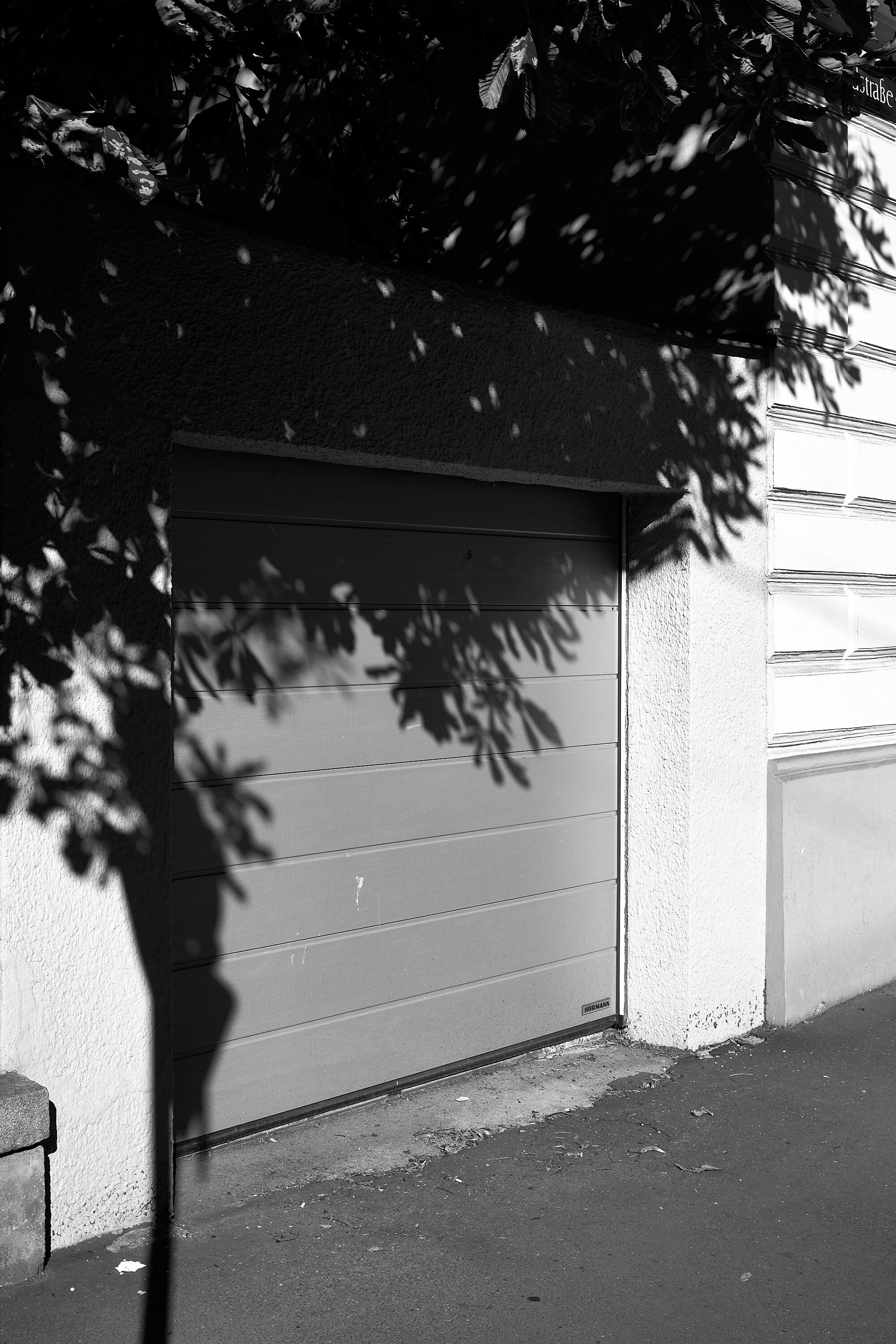 Leica Camera AG LEICA M11 D L1000381