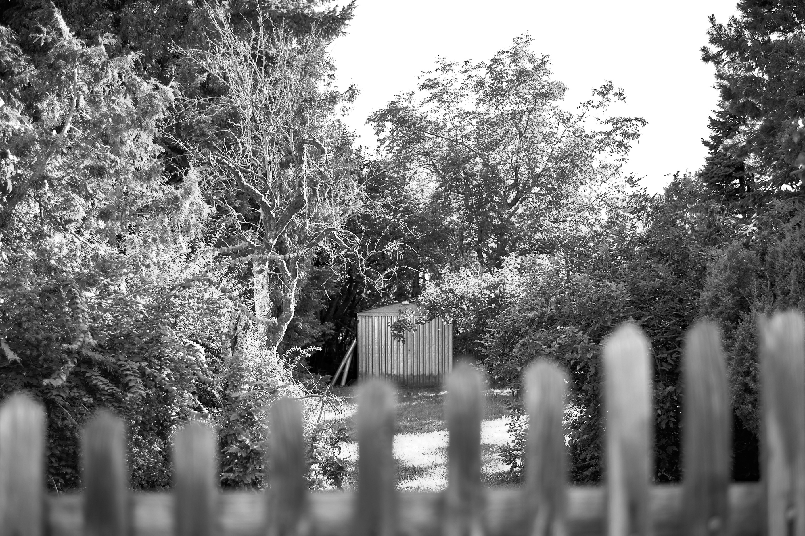 Leica Camera AG LEICA M11 D L1000401