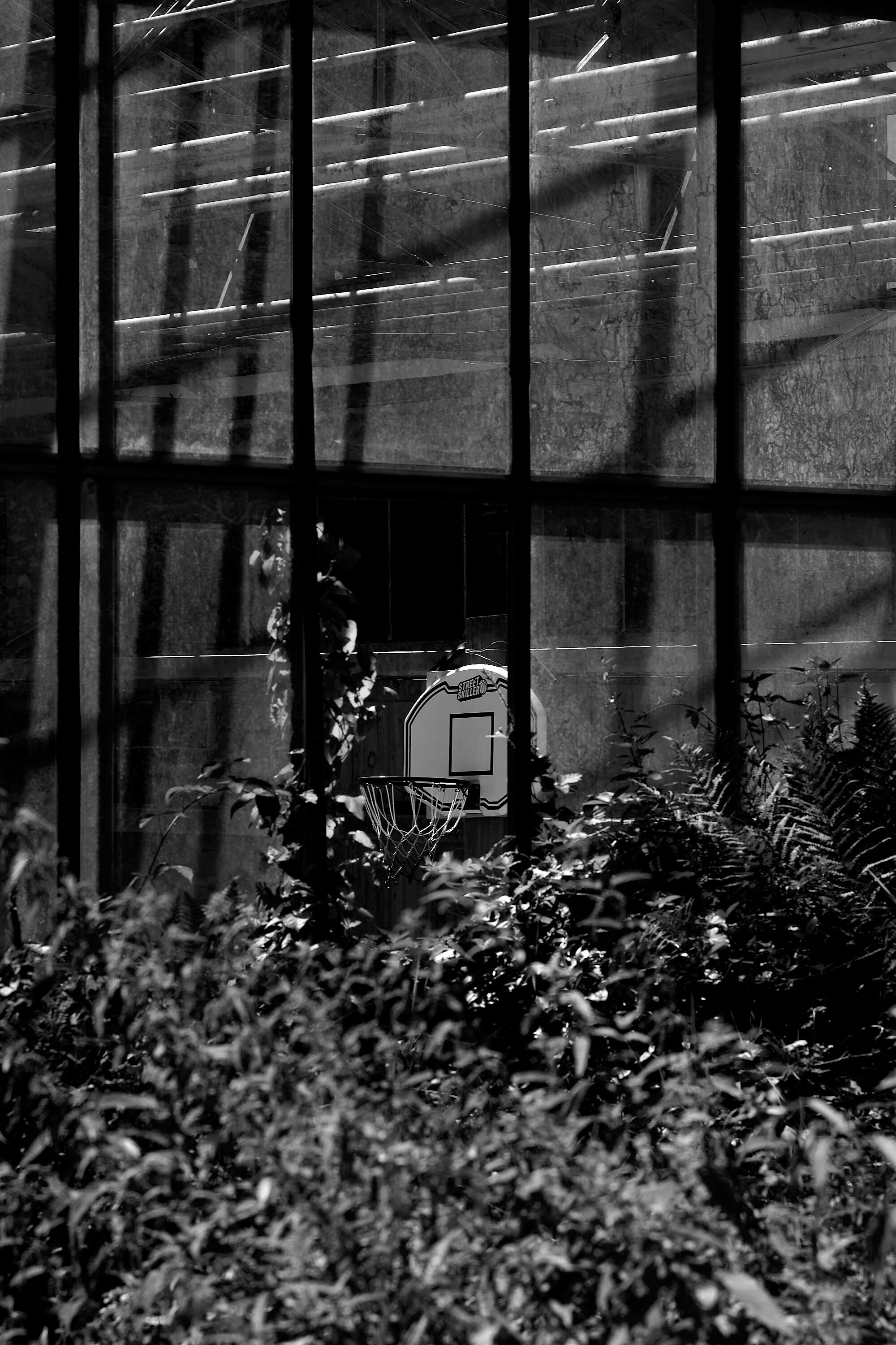 Leica Camera AG LEICA M11 P L1004138