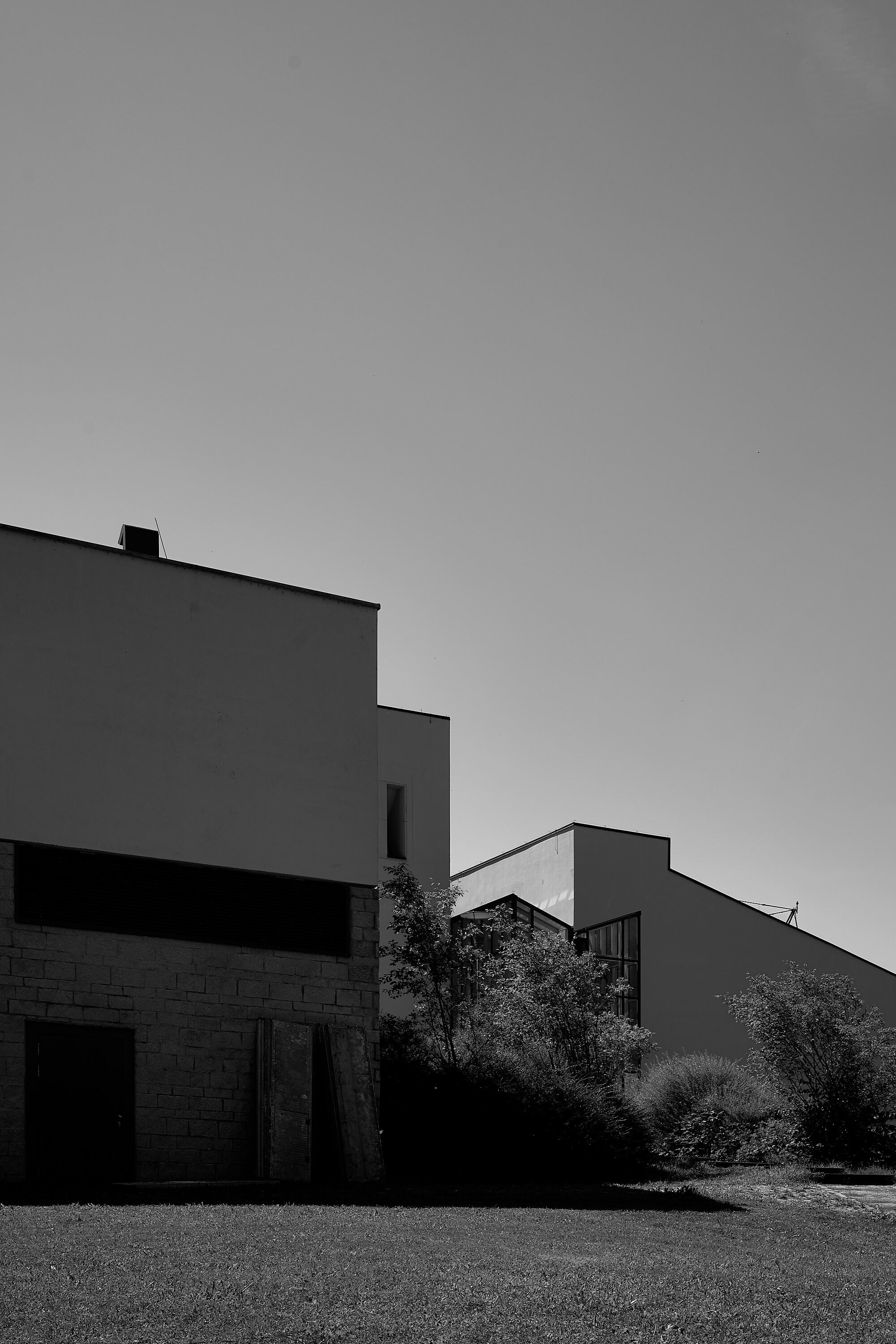 Leica Camera AG LEICA M11 D L1000407