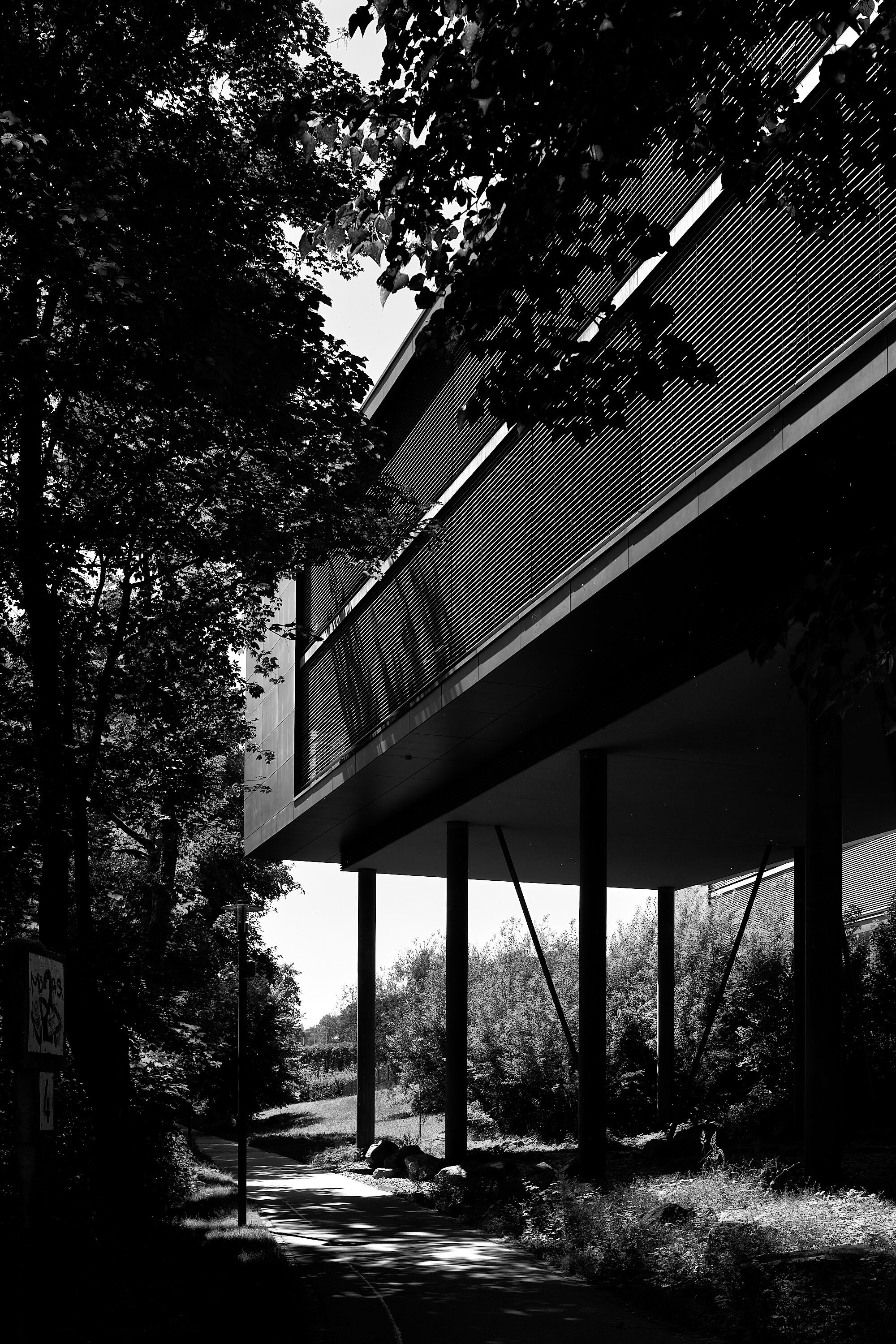 Leica Camera AG LEICA M11 D L1000410