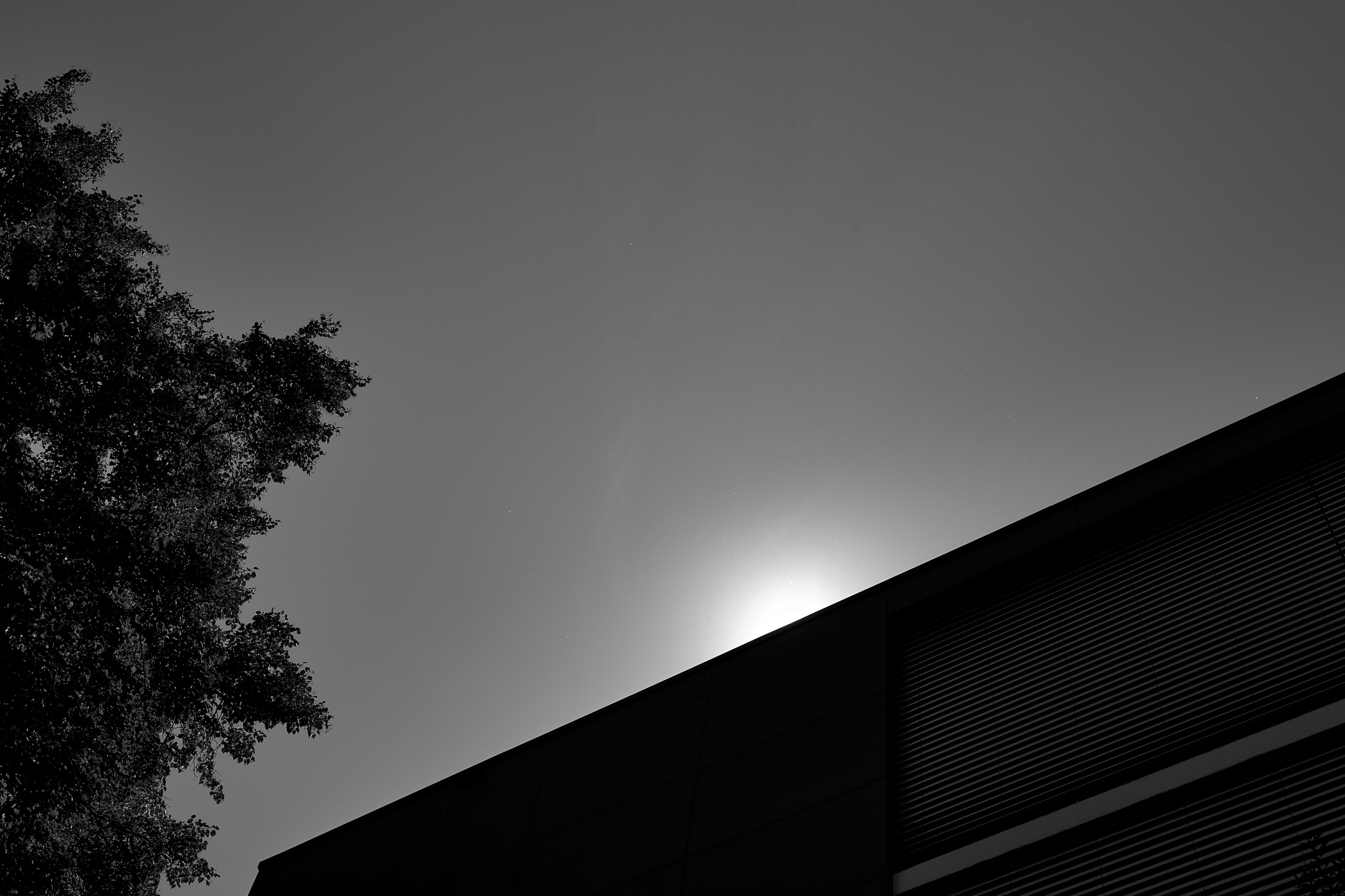 Leica Camera AG LEICA M11 D L1000412