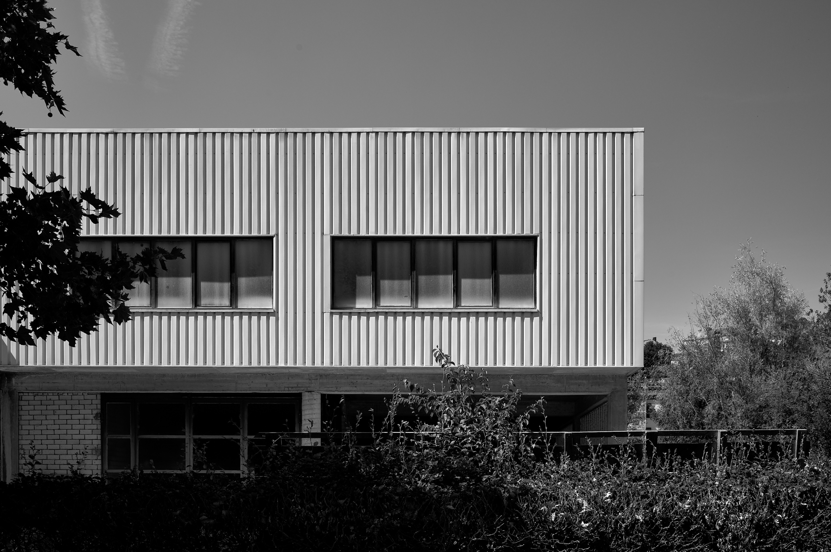 Leica Camera AG LEICA M11 D L1000413