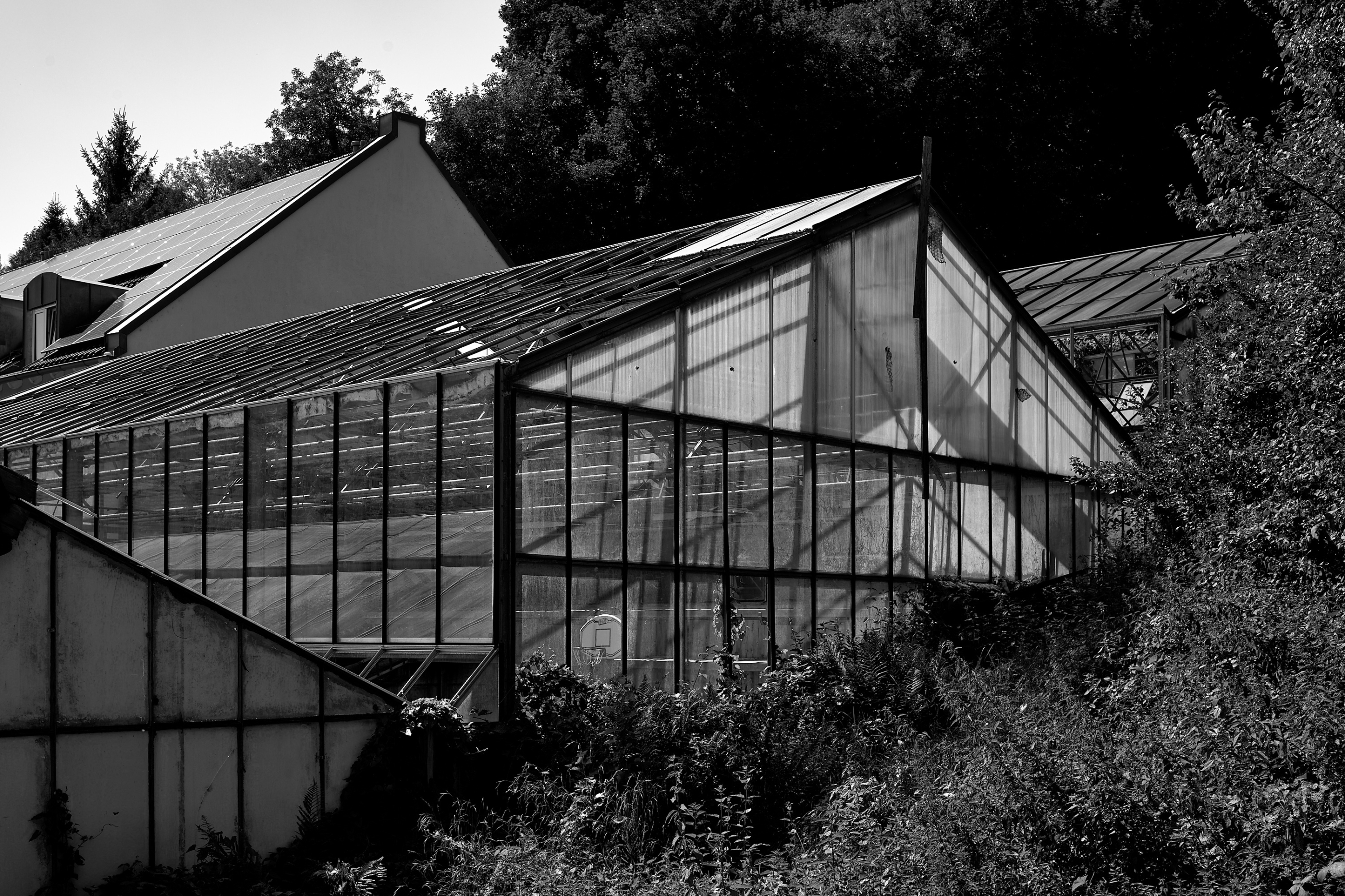 Leica Camera AG LEICA M11 D L1000435