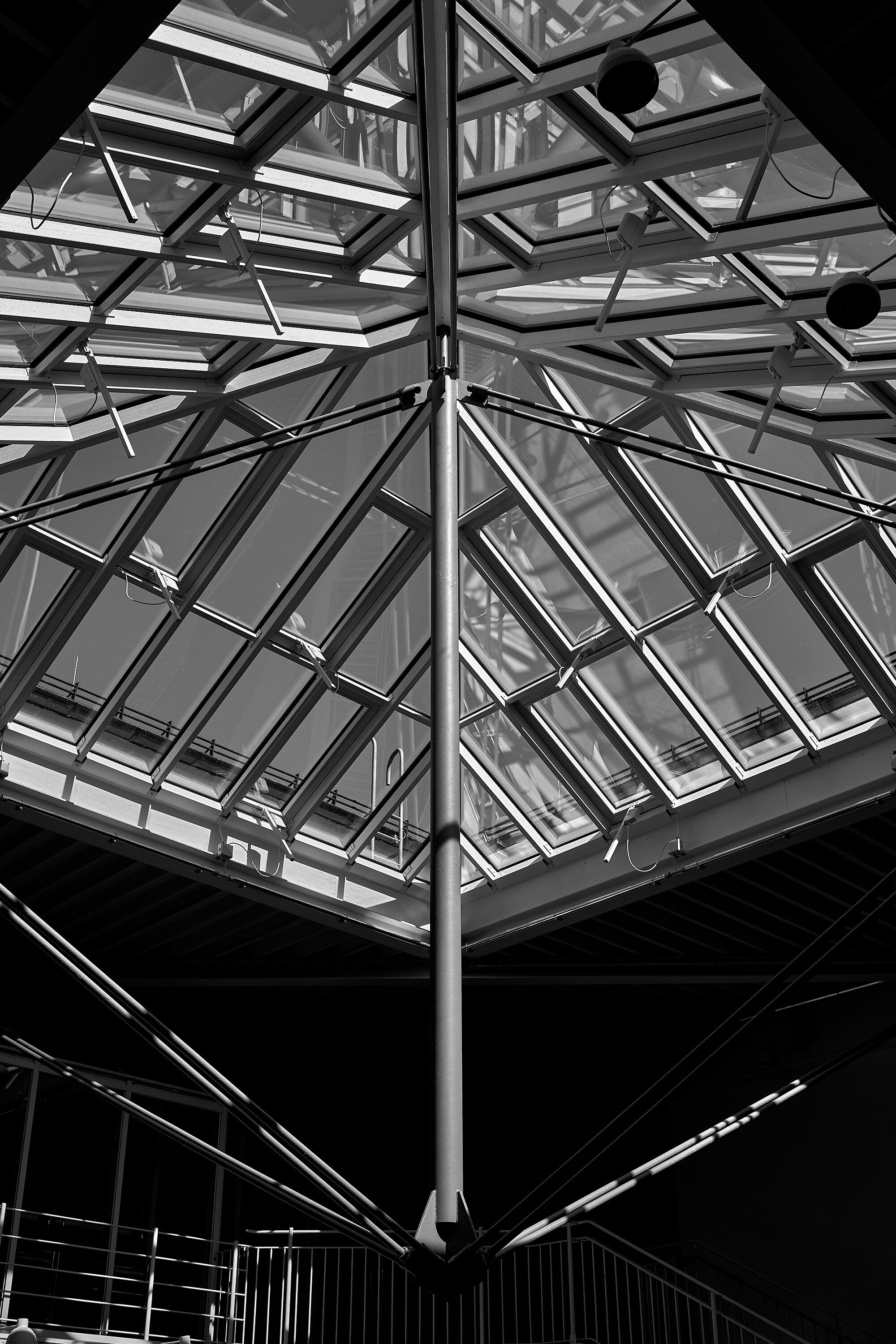 Leica Camera AG LEICA M11 D L1000436