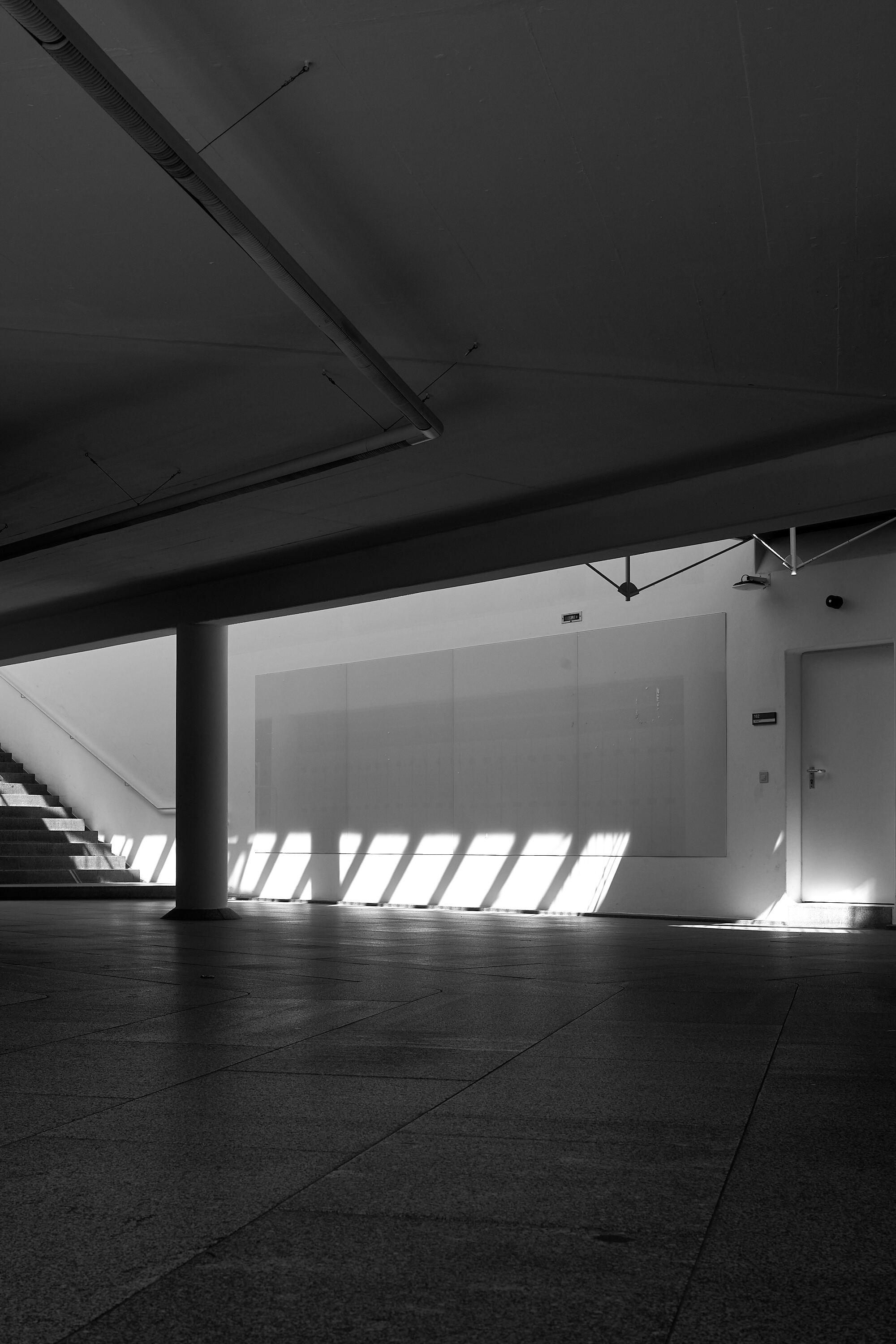 Leica Camera AG LEICA M11 D L1000454