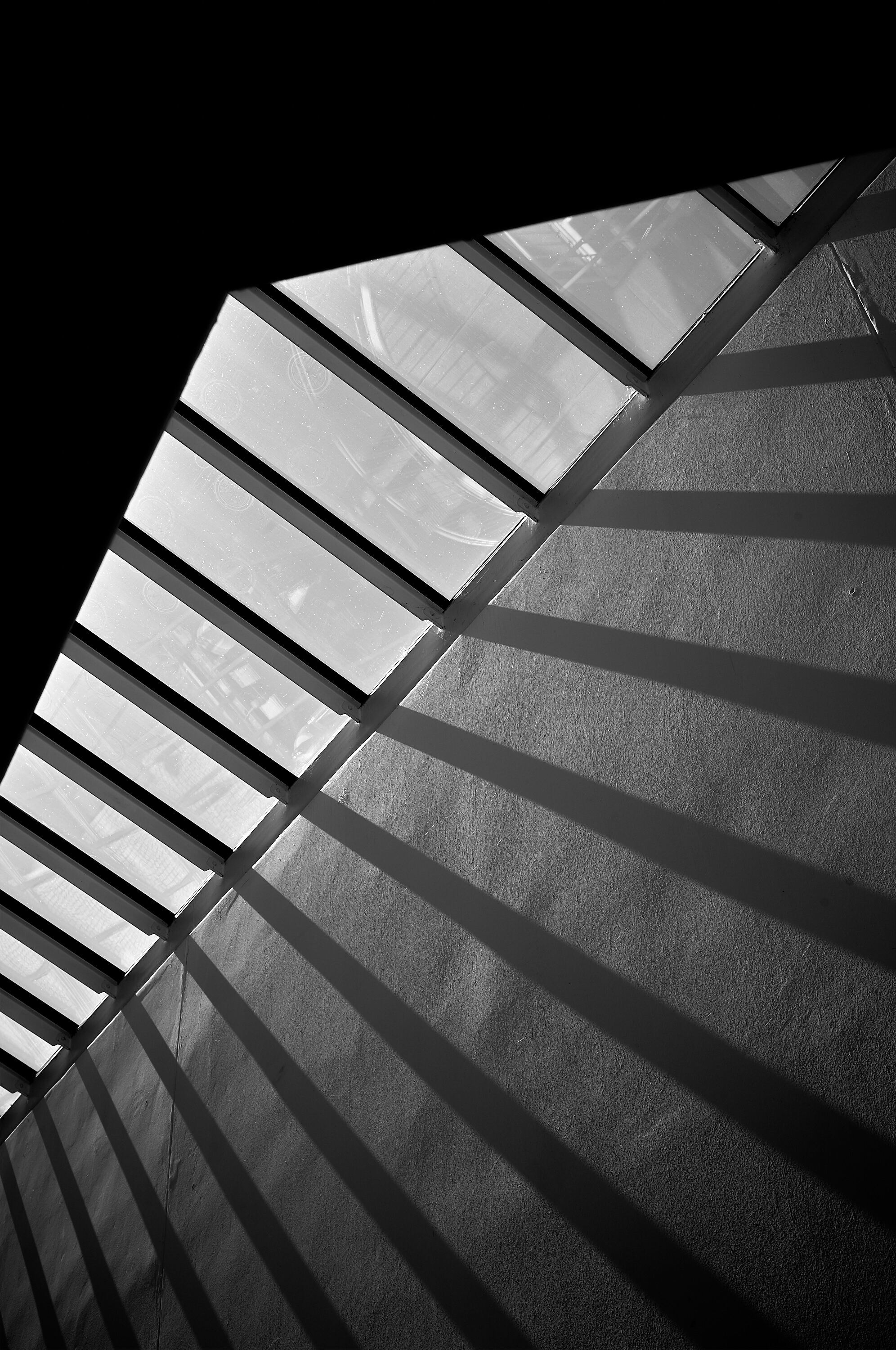 Leica Camera AG LEICA M11 D L1000455