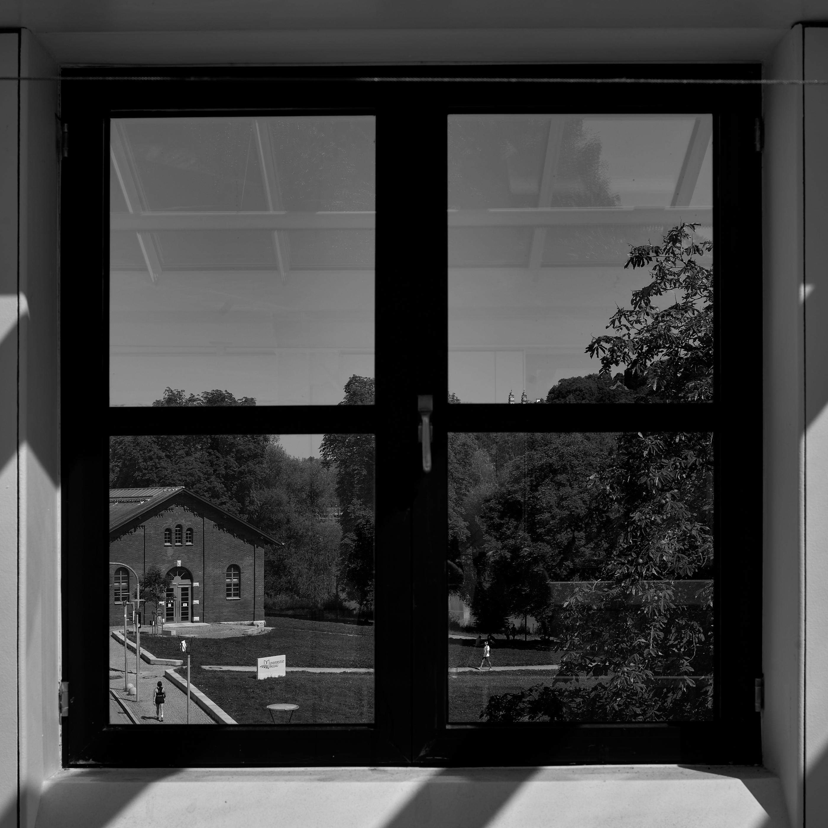 Leica Camera AG LEICA M11 D L1000459