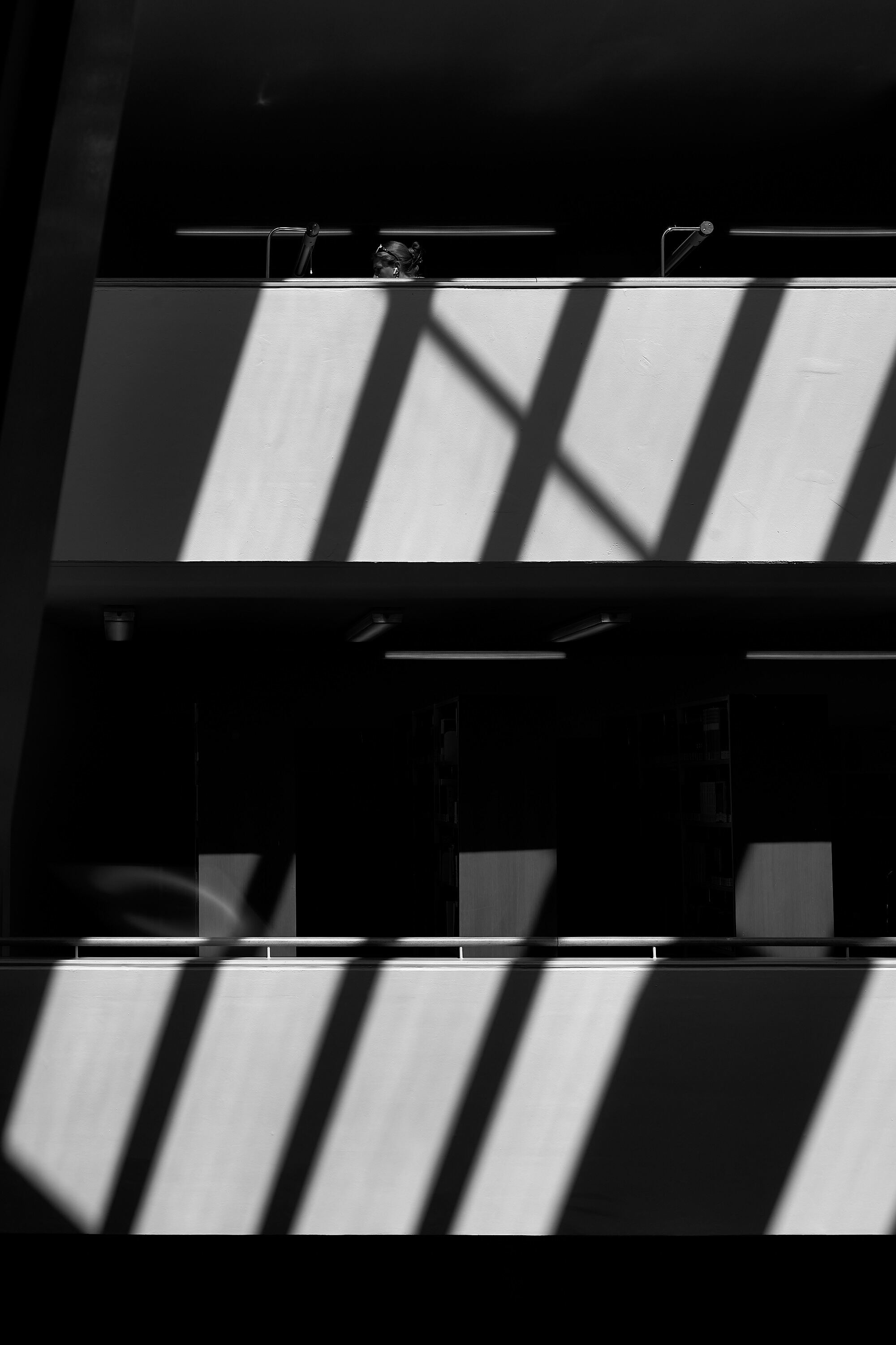 Leica Camera AG LEICA M11 D L1000461