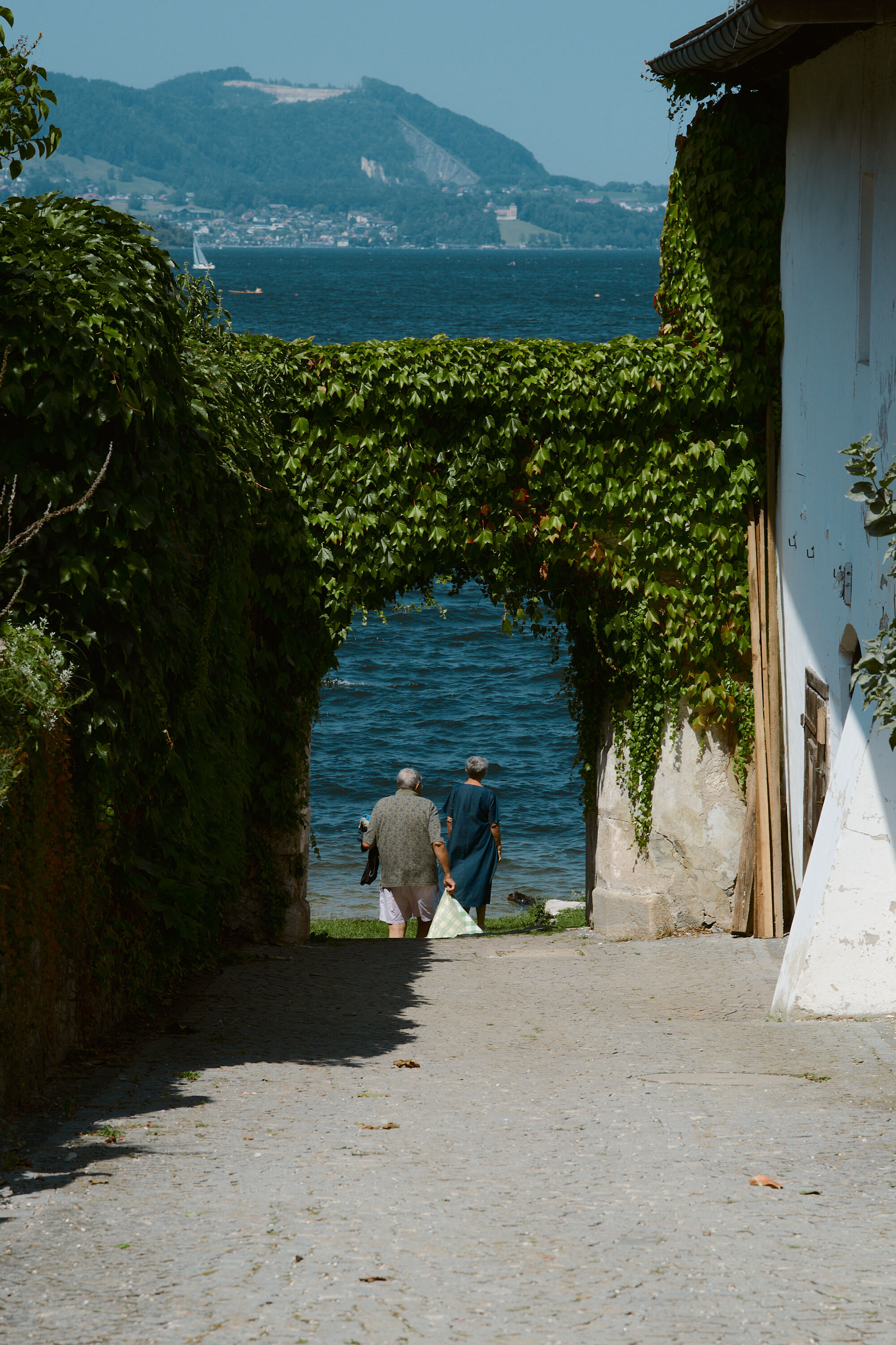 Leica Camera AG LEICA M11 P L1004151