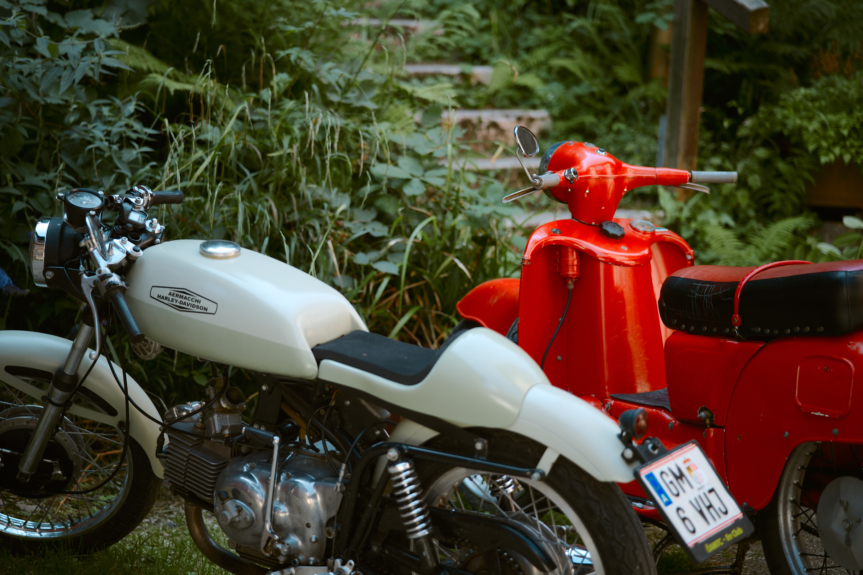 Leica Camera AG LEICA M11 P L1004179