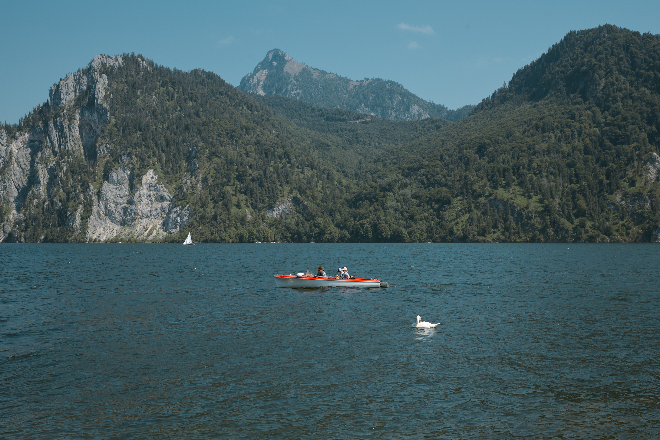 Leica Camera AG LEICA M11 D L1000546