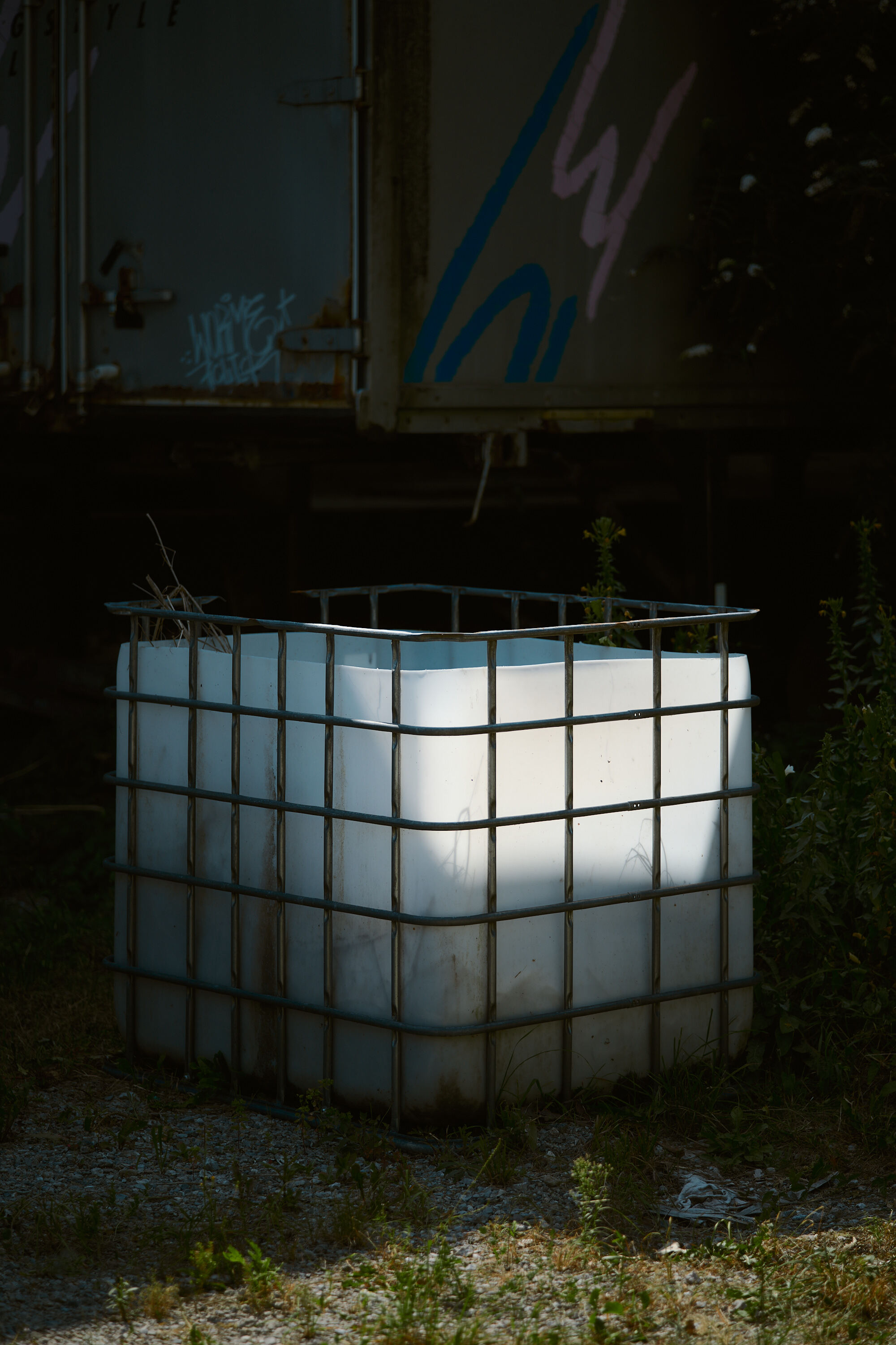 Leica Camera AG LEICA M11 P L1004277