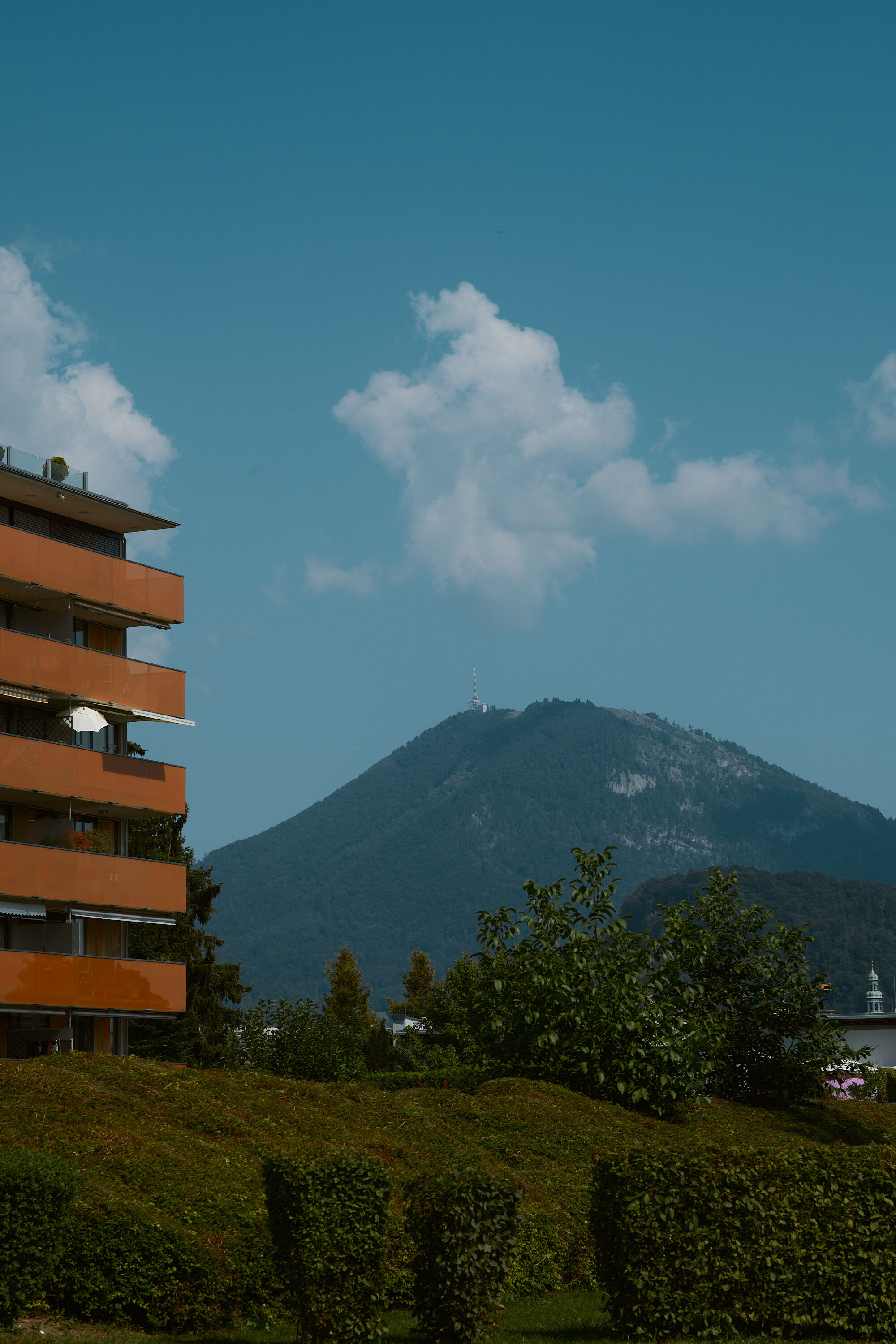 Leica Camera AG LEICA M11 P L1004285