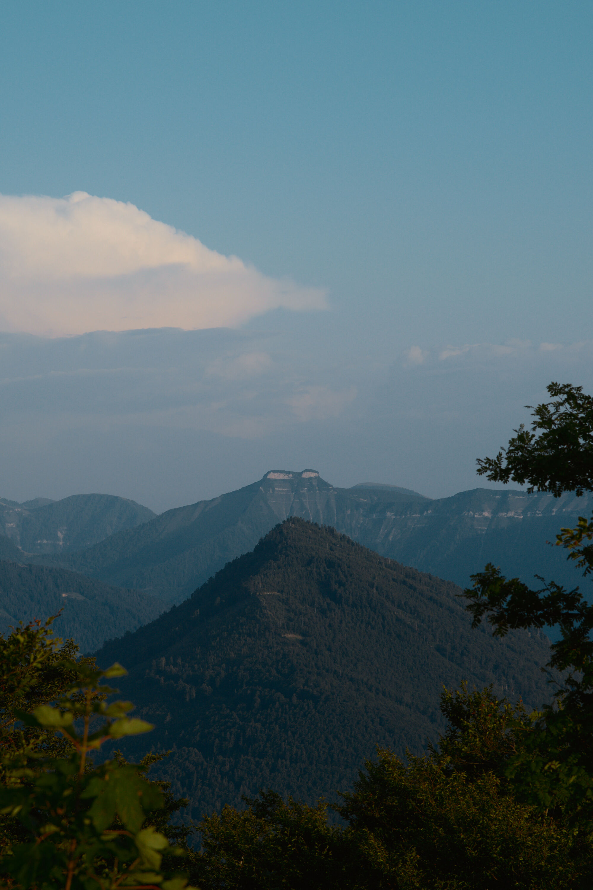 Leica Camera AG LEICA M11 P L1004302