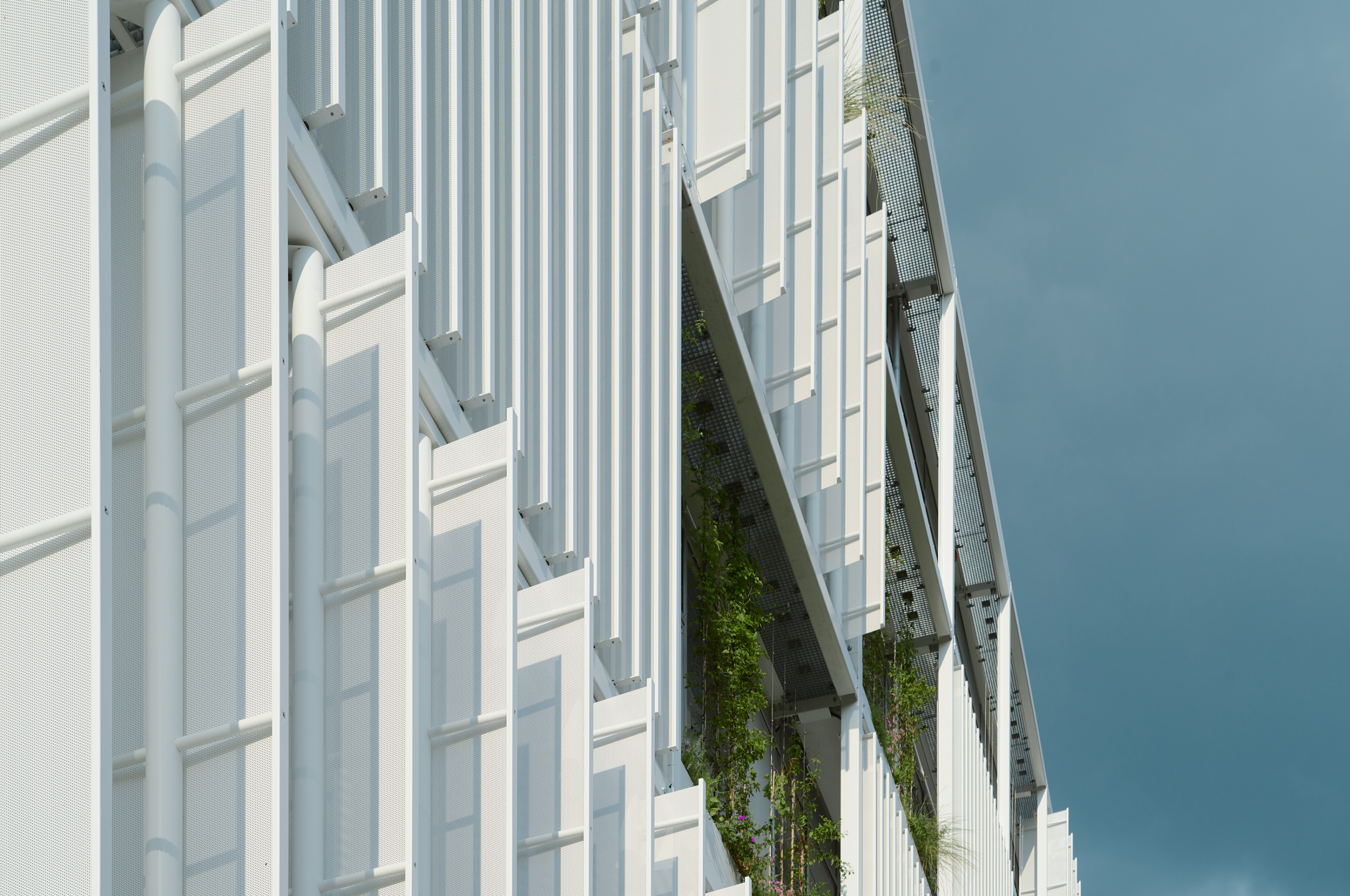 Leica Camera AG LEICA M11 D L1000629