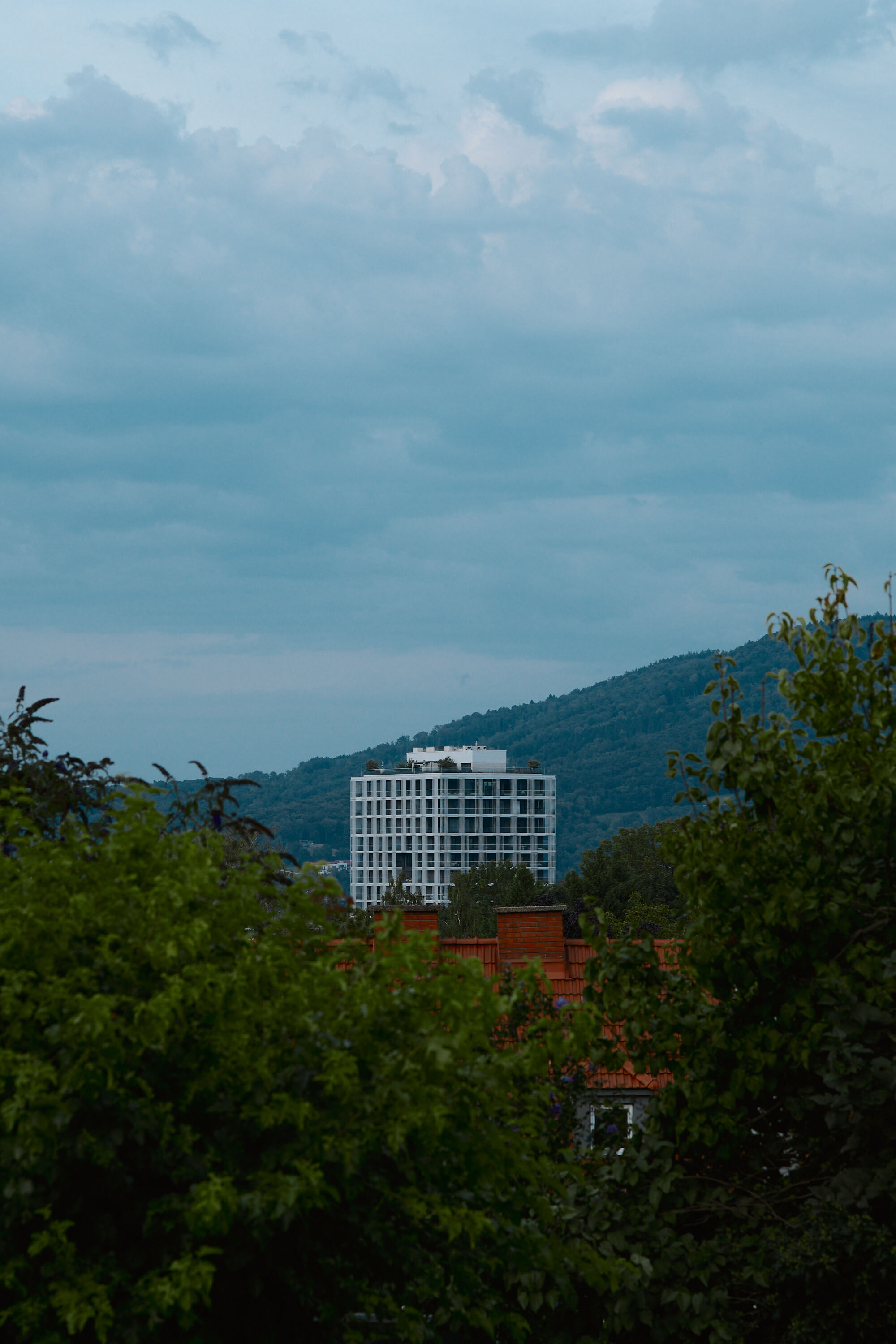 Leica Camera AG LEICA M11 P L1004373