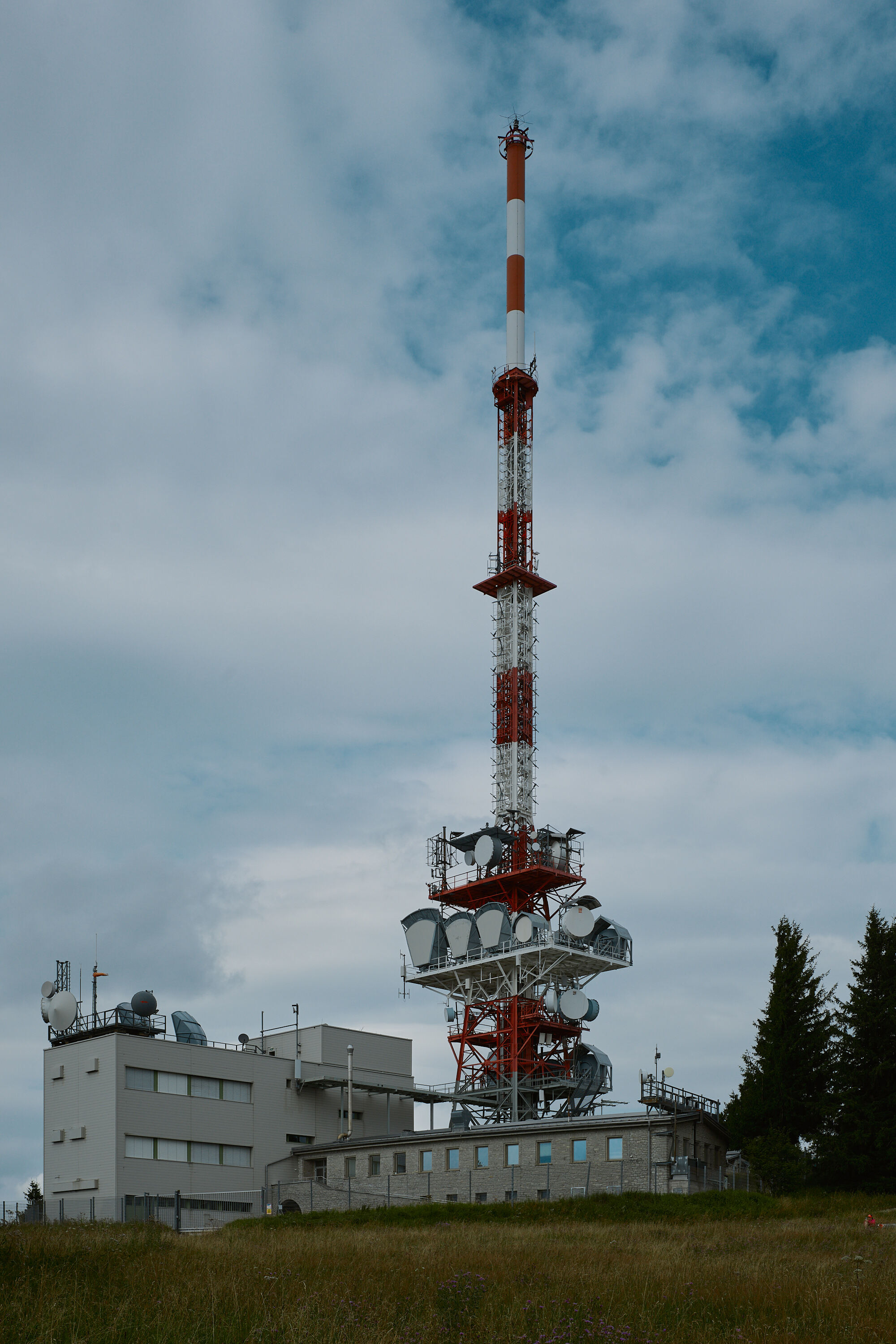 Leica Camera AG LEICA M11 D L1000673