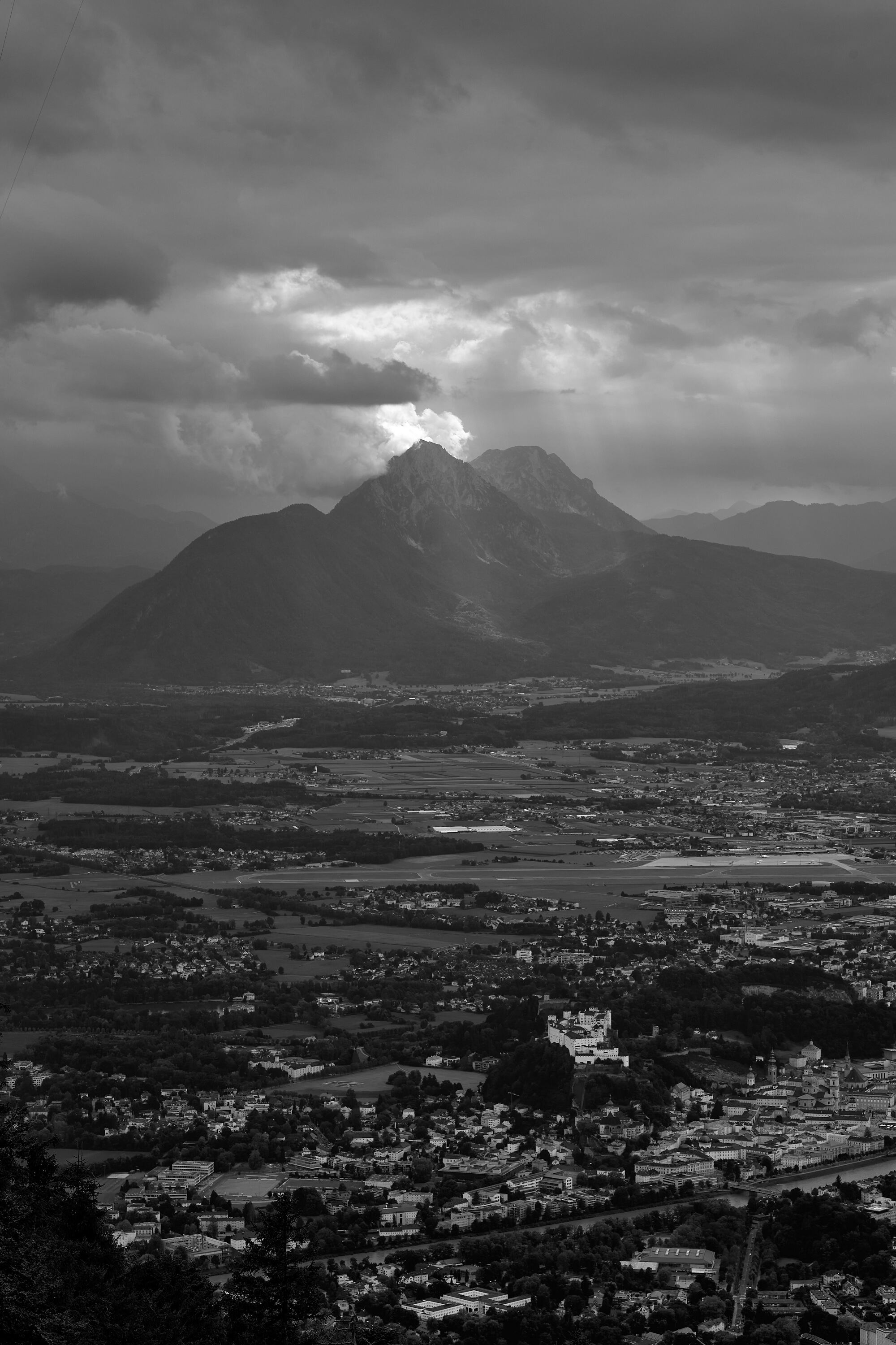 Leica Camera AG LEICA M11 P L1004432