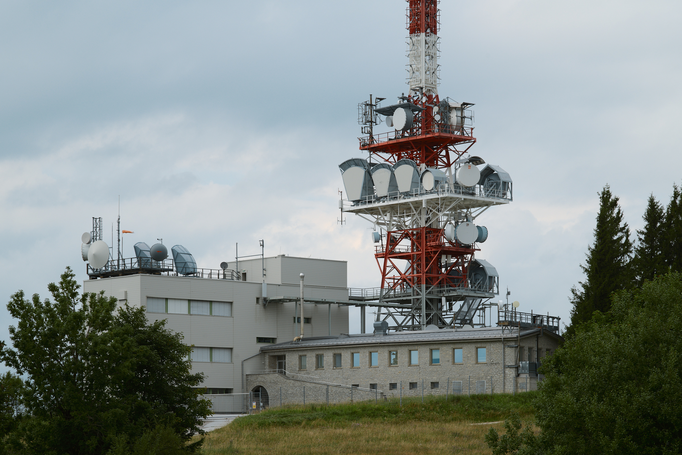 Leica Camera AG LEICA M11 P L1004485