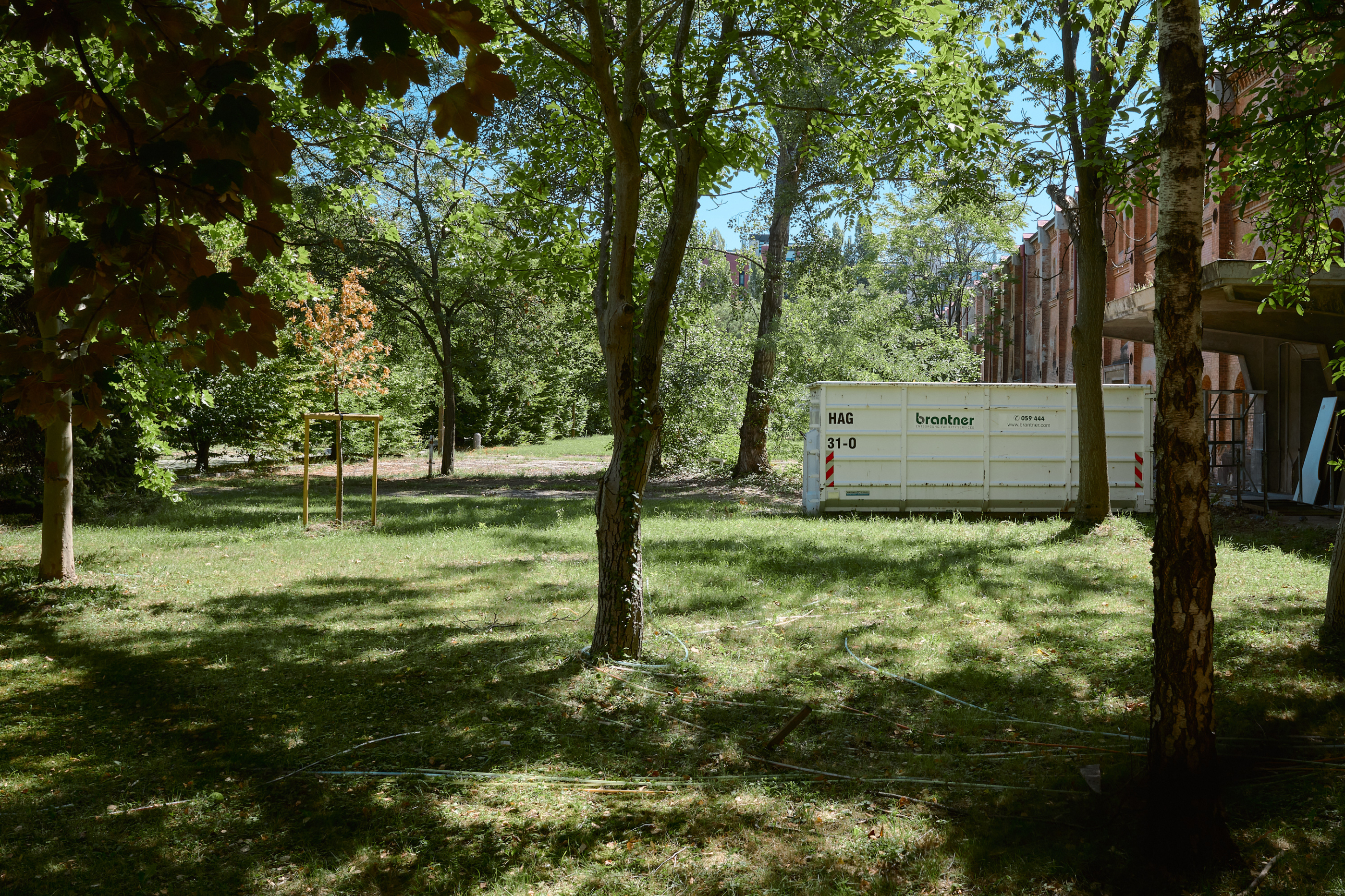 Leica Camera AG LEICA M11 P L1004600