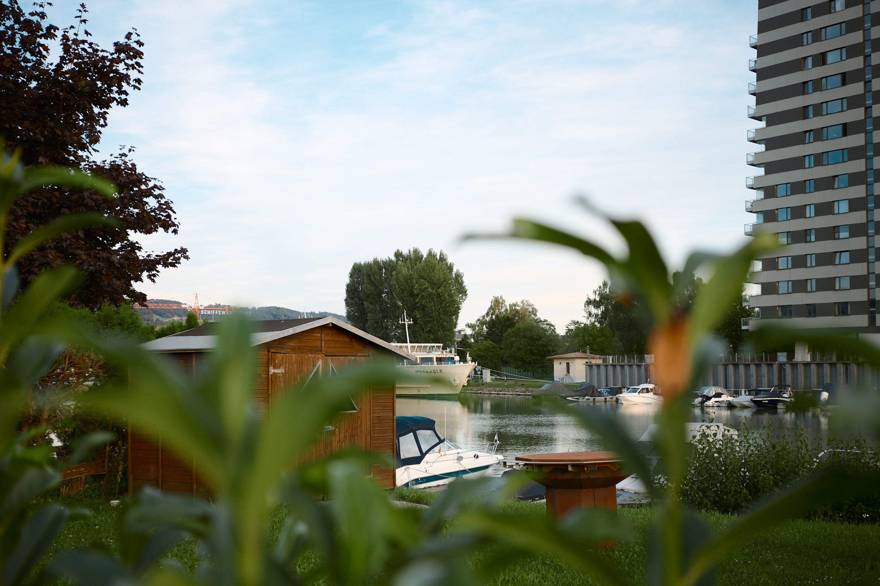 Leica Camera AG LEICA M11 P L1004636