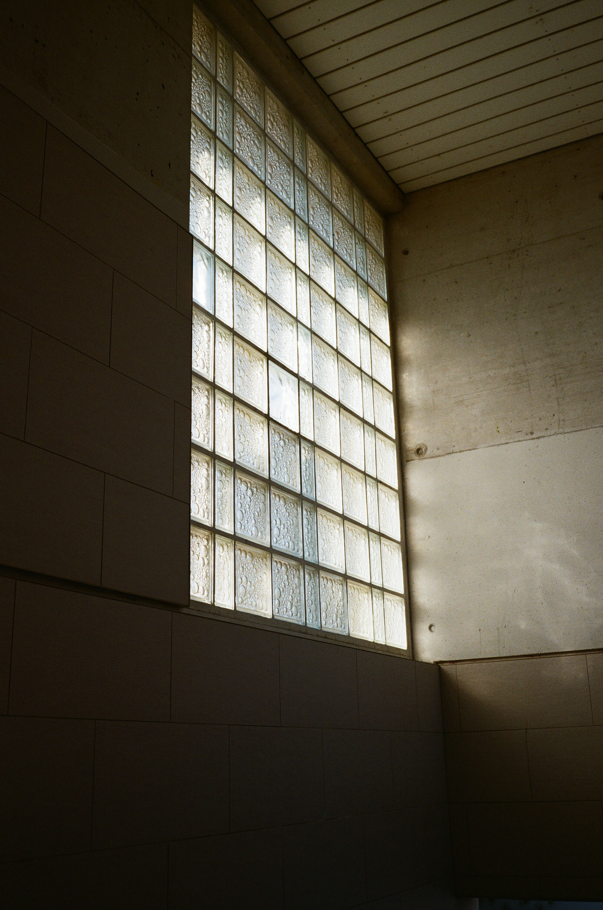 Leica MP 000022700013
