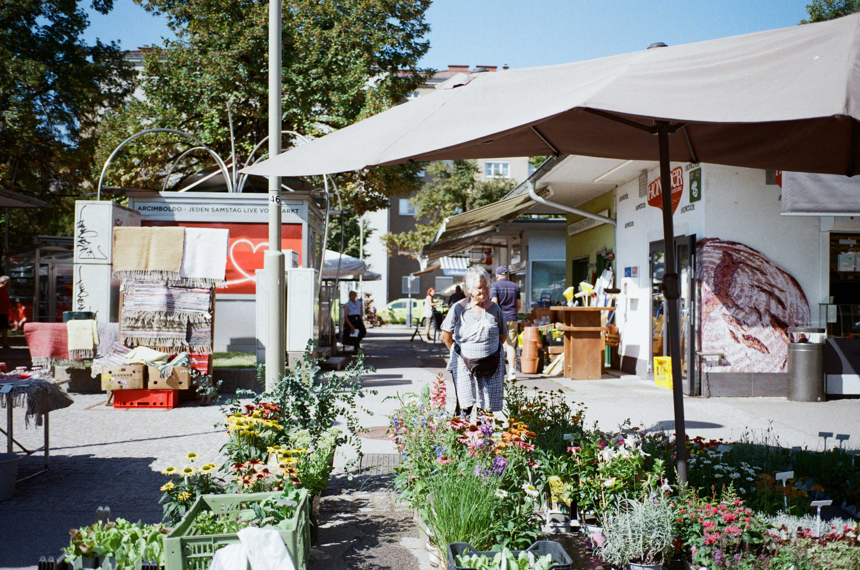 Leica MP 000022700026